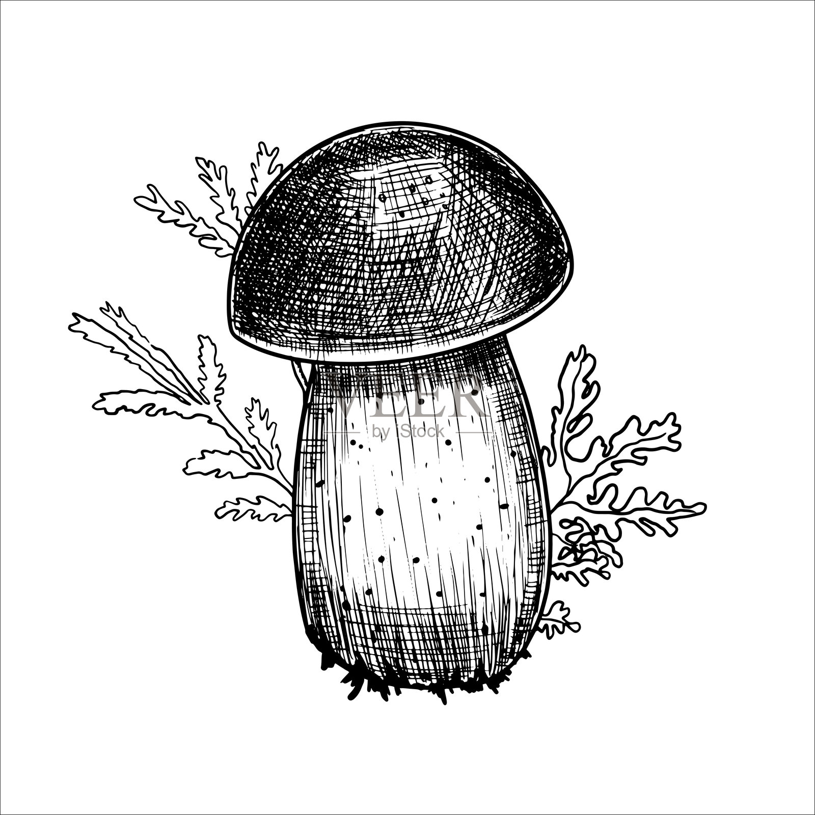 手绘蘑菇。矢量插图插画图片素材