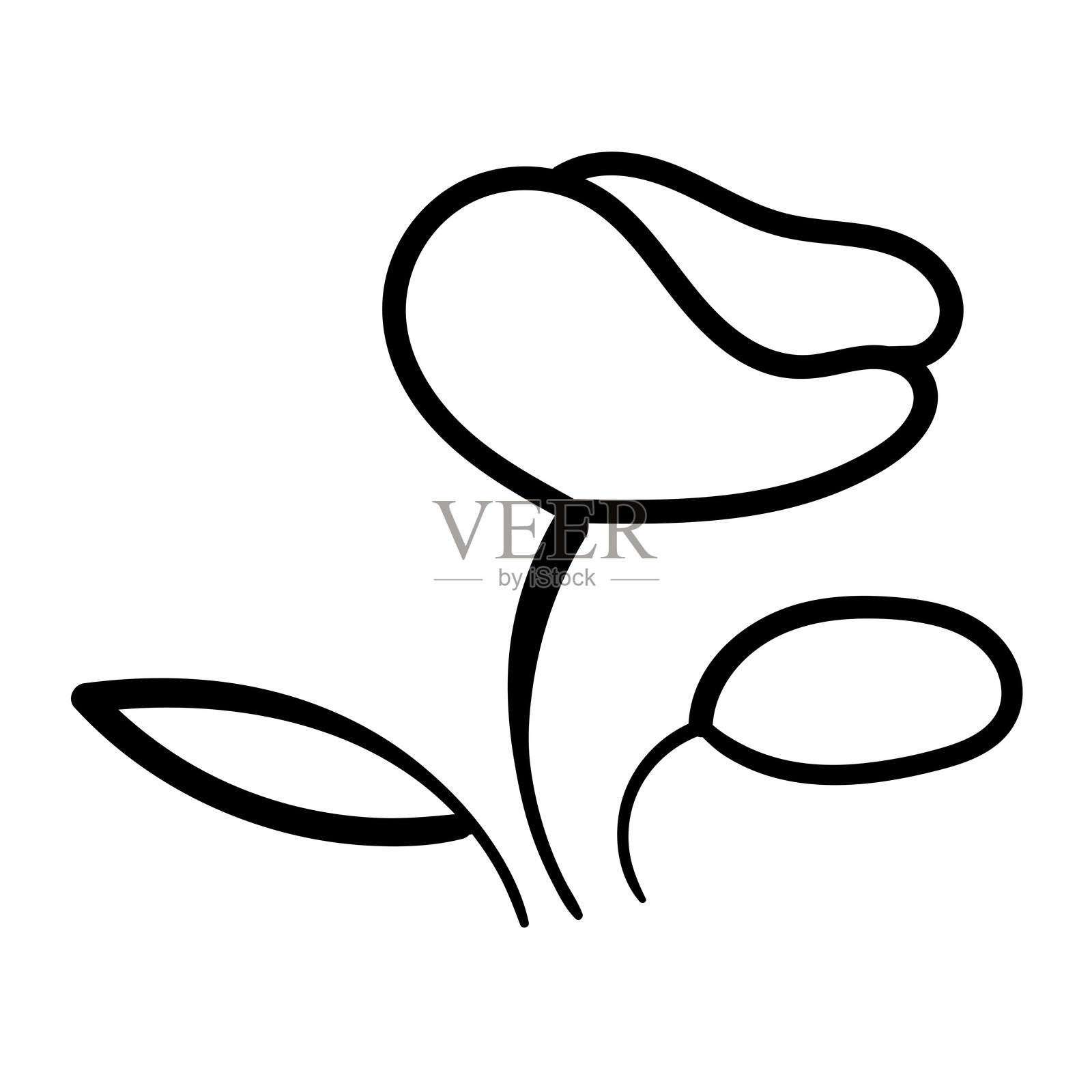 极简主义花卉矢量插图。插画图片素材