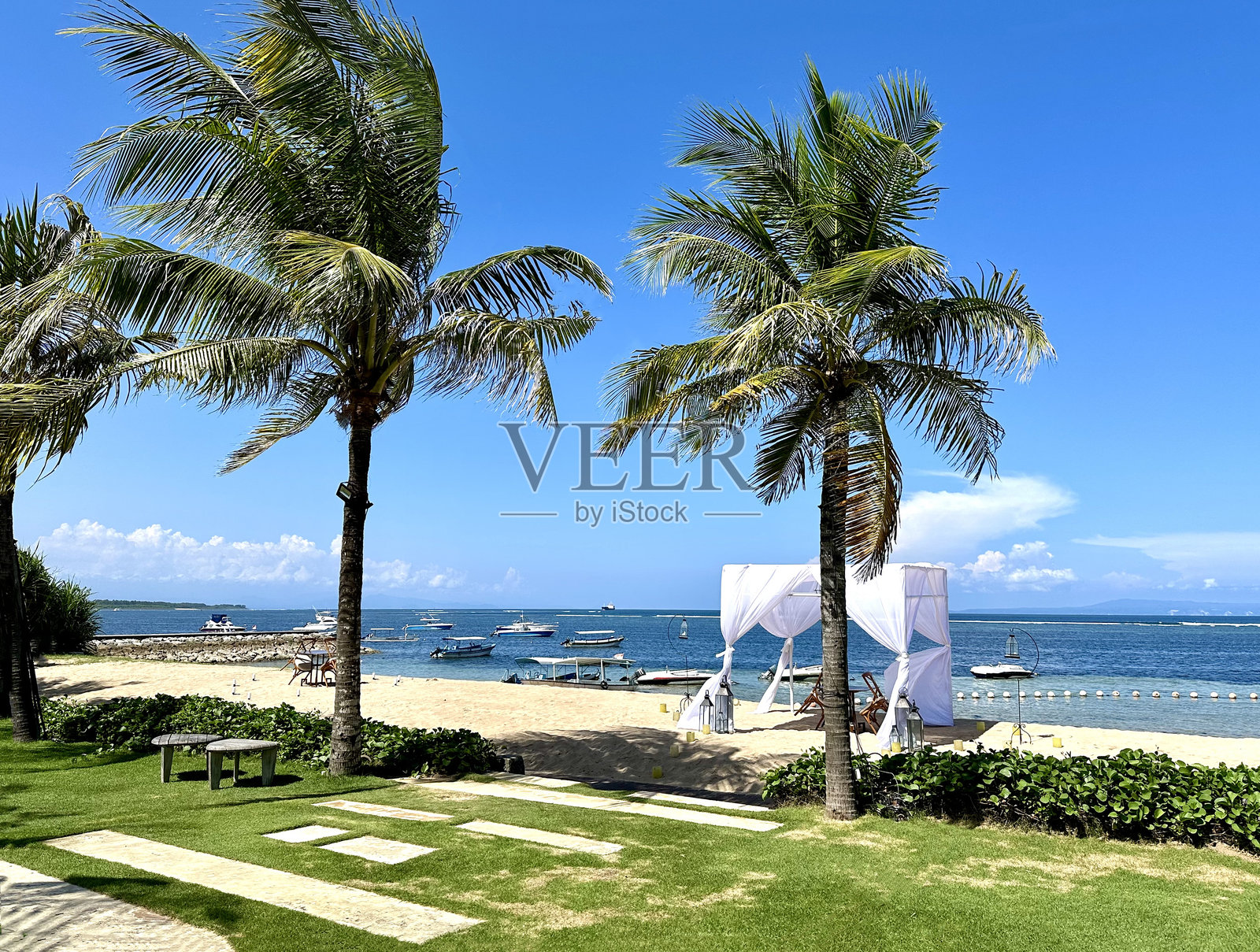 巴厘岛的海滩、海洋和棕榈树照片摄影图片