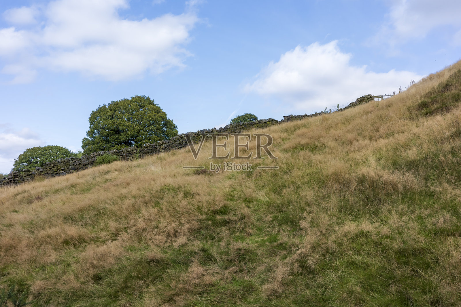 英格兰兰开夏郡的里温顿。起伏的草坡，蓝天和零星的白云。照片摄影图片