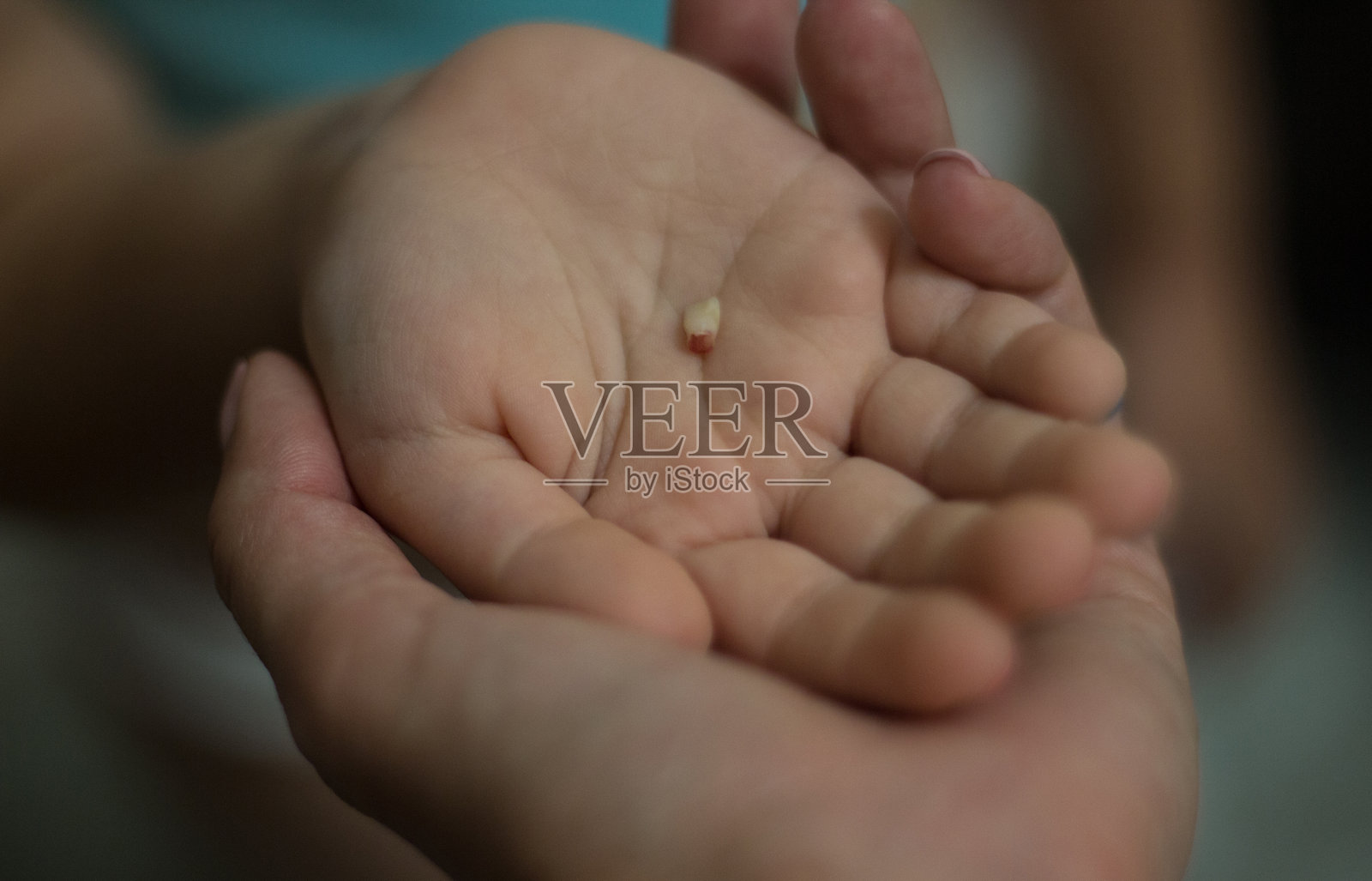 孩子手中拿着掉落的牙齿照片摄影图片