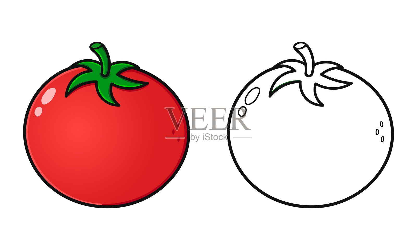可爱的番茄。轮廓卡通插图，适合涂色书使用。插画图片素材