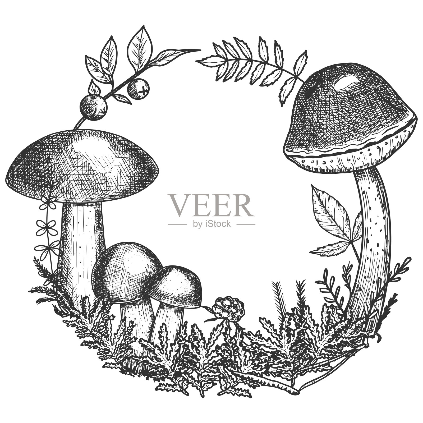 带有可食用蘑菇和浆果的花环，手绘矢量插图插画图片素材