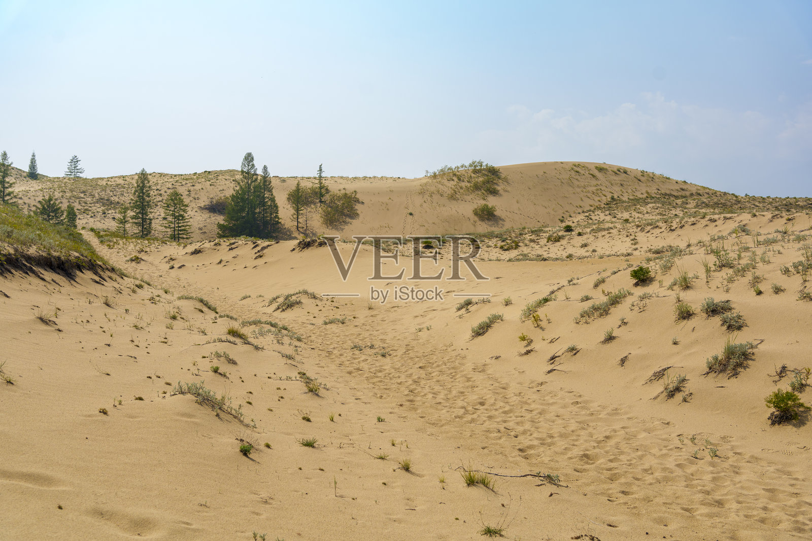 稀疏植被下的沙丘与晴朗的天空照片摄影图片