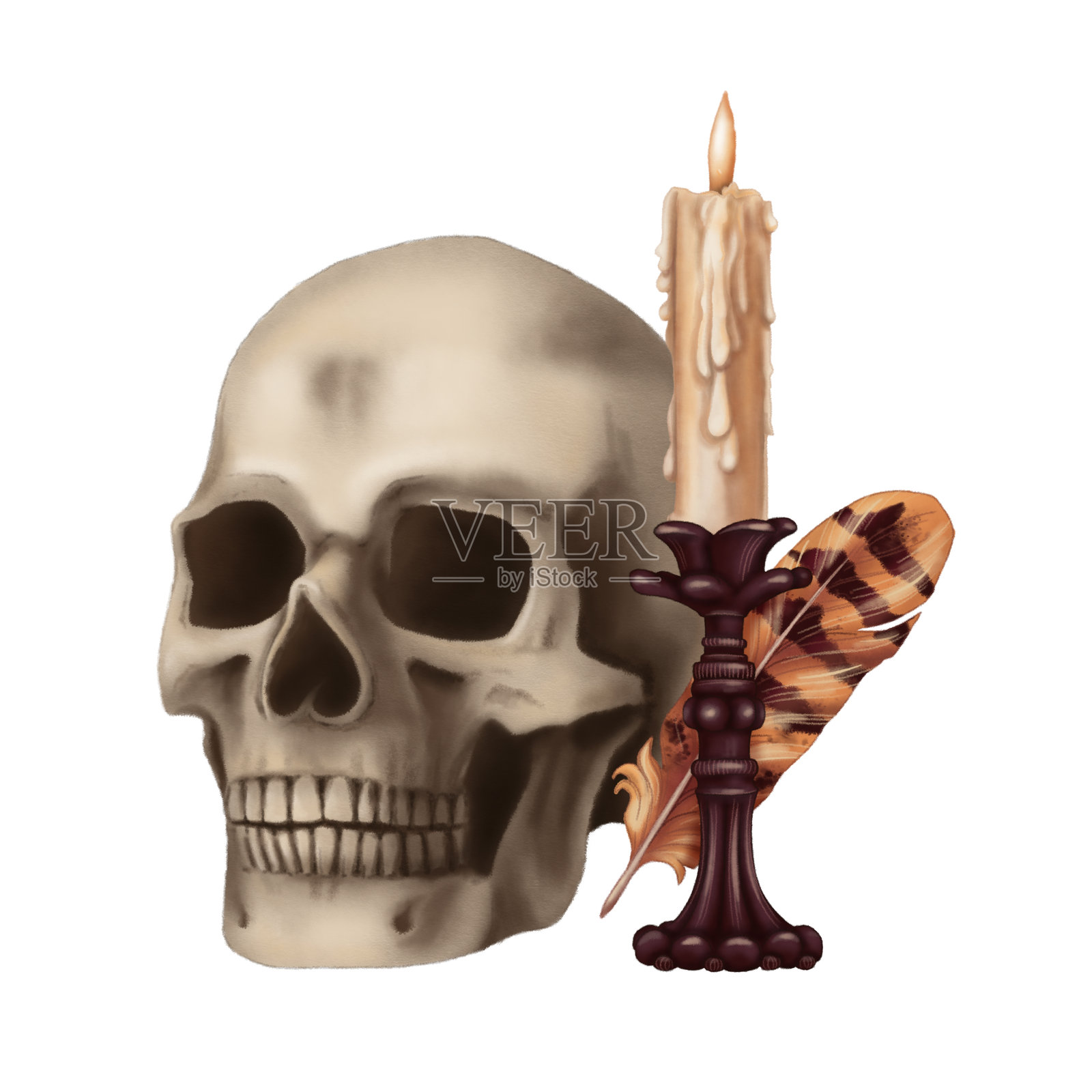 人类头骨与羽毛和蜡烛的万圣节组合。手绘的恐怖插图，卡通风格。适合秋季图形和恐怖季节贺卡设计的独立插图。插画图片素材