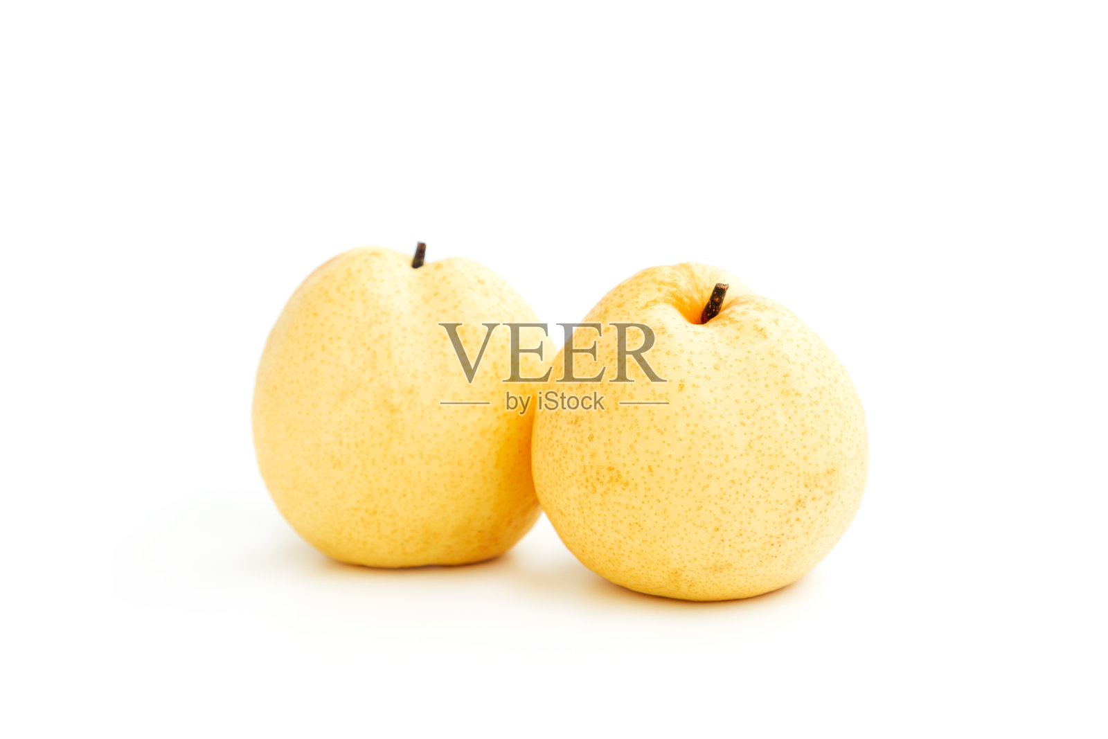 中国梨（Pyrus pyrifolia）在白色背景上孤立，亚洲梨果。照片摄影图片