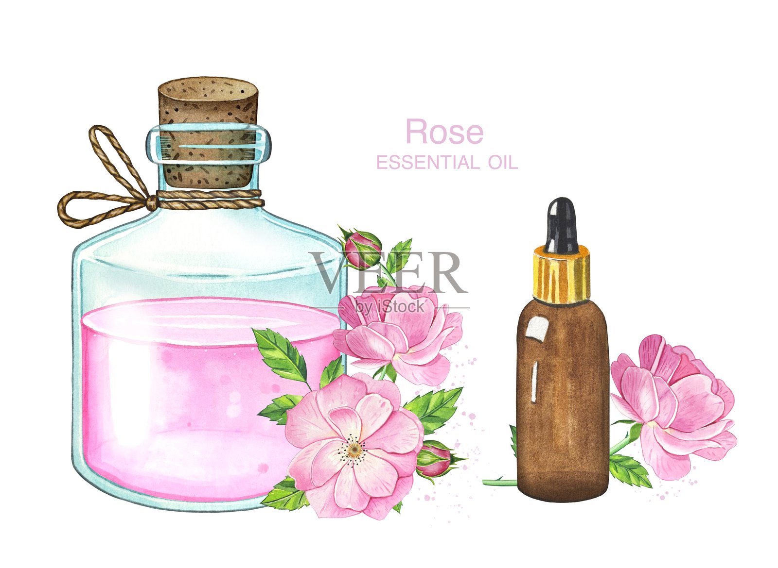 手绘玫瑰精油瓶。水疗系列。水彩插图插画图片素材