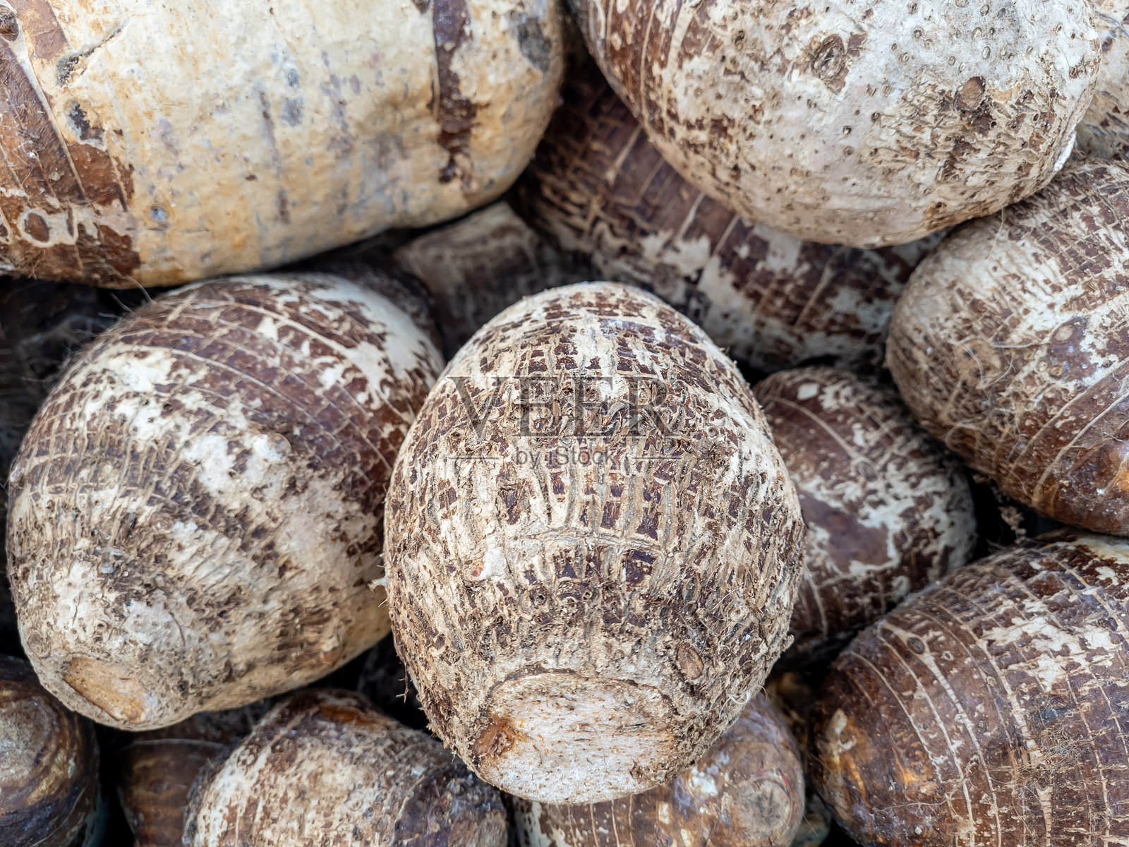 山药块茎。照片摄影图片