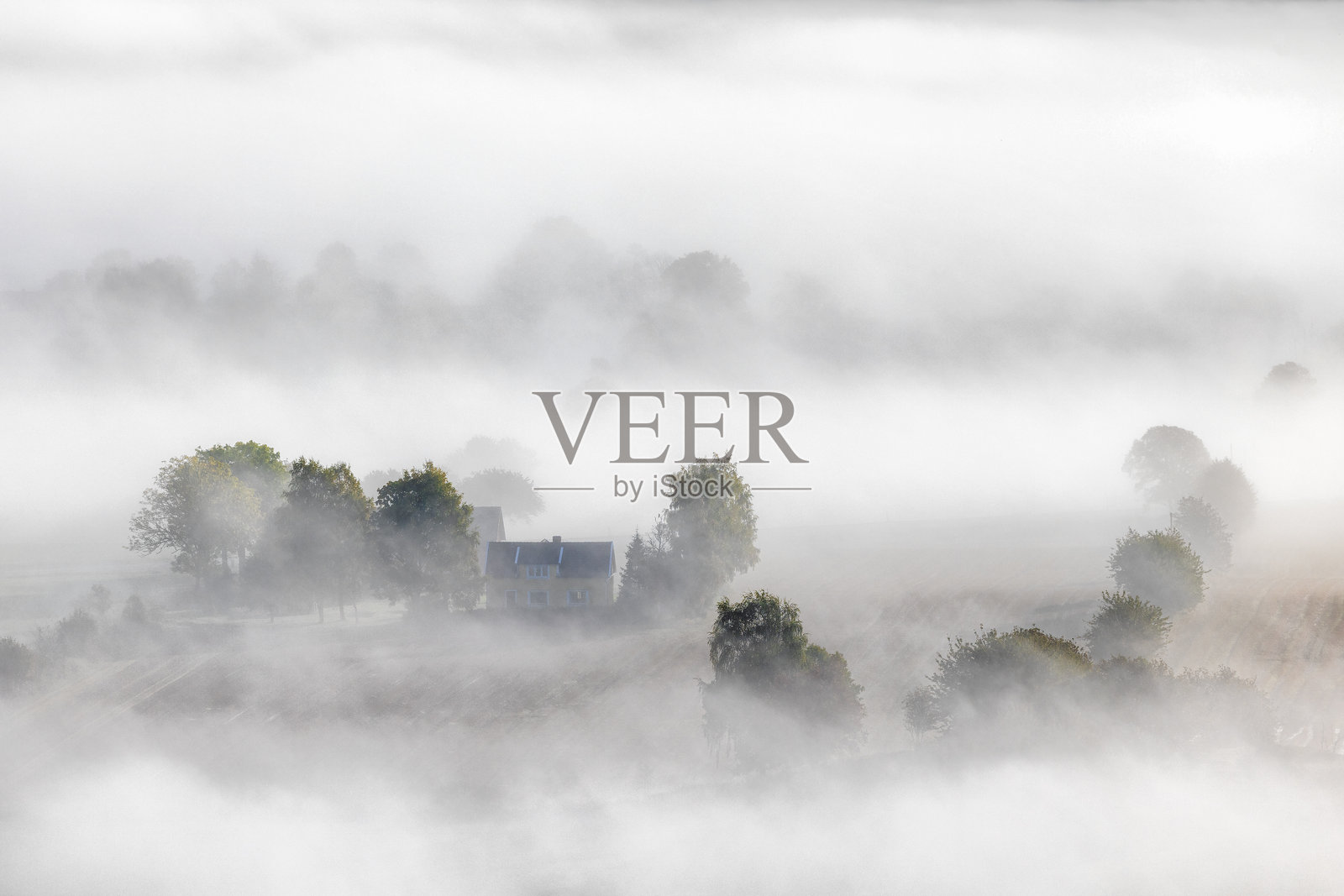 乡村雾中的房子照片摄影图片