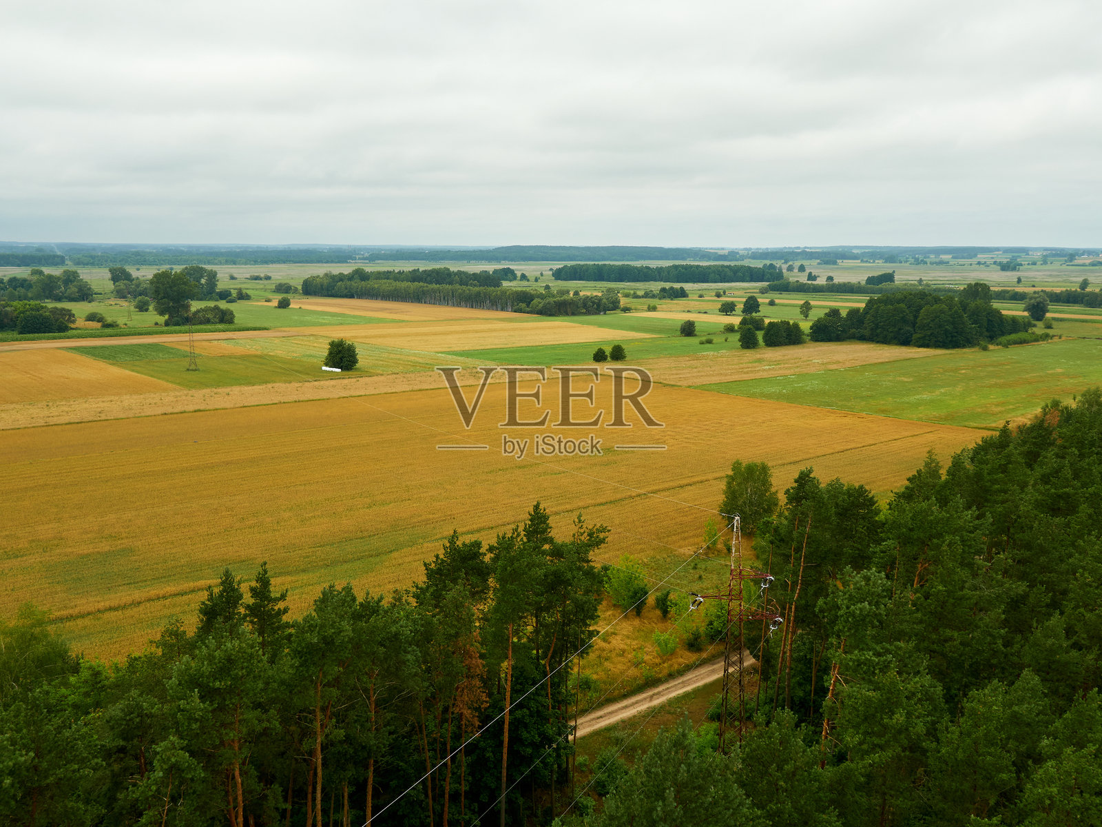 夏季乡村的鸟瞰图，展现了田野和森林。照片摄影图片