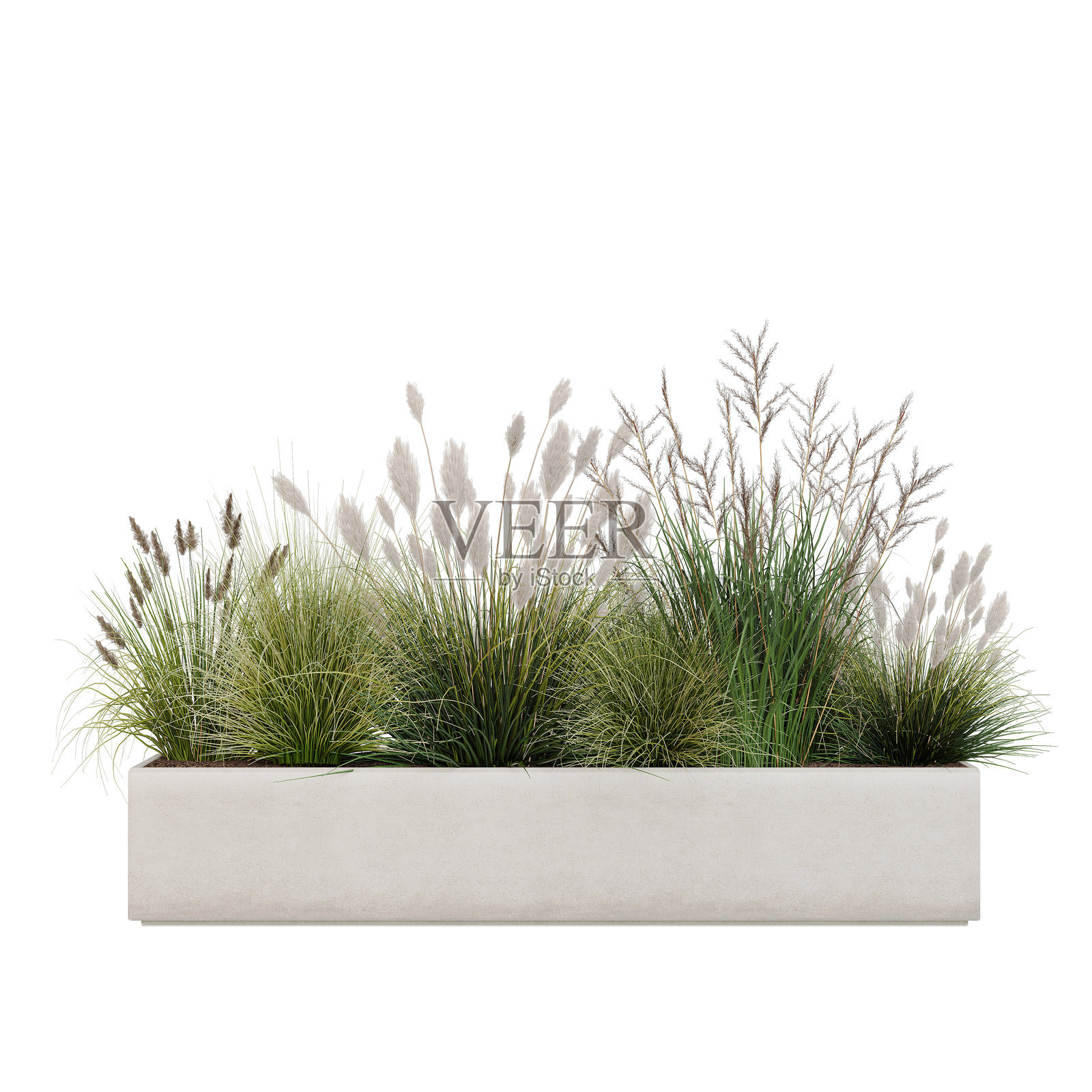 3D渲染模型树木集合照片摄影图片