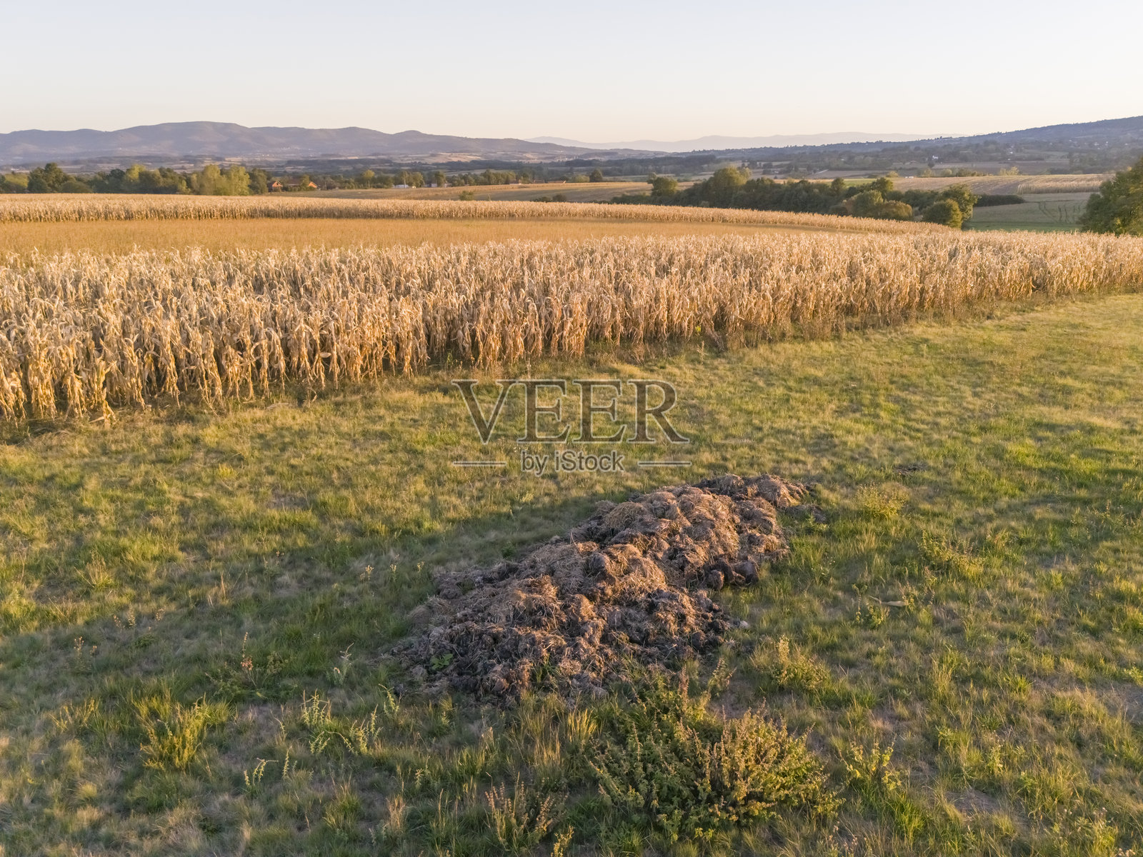 农业田地上的肥料堆照片摄影图片