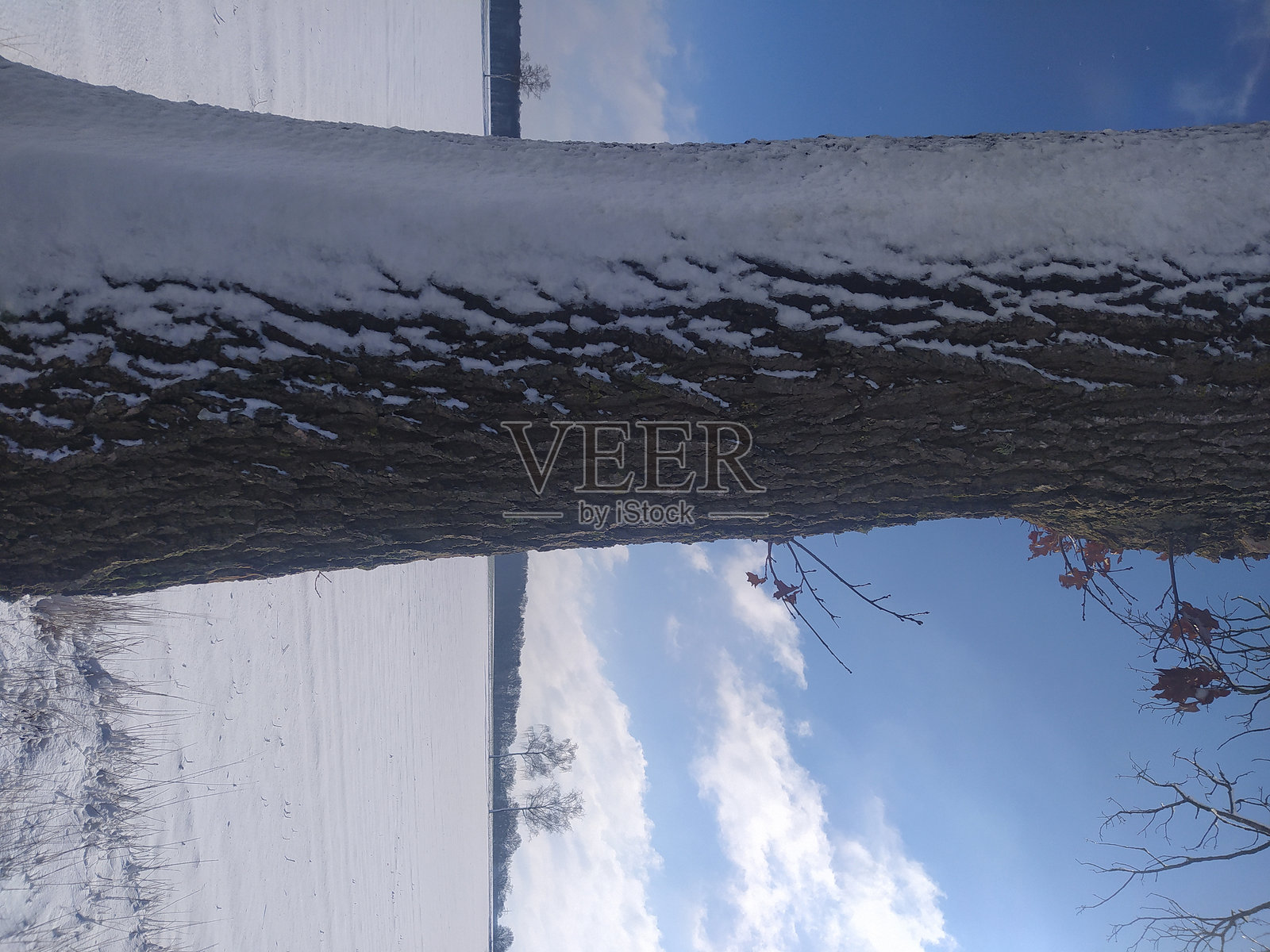 雪天照片摄影图片