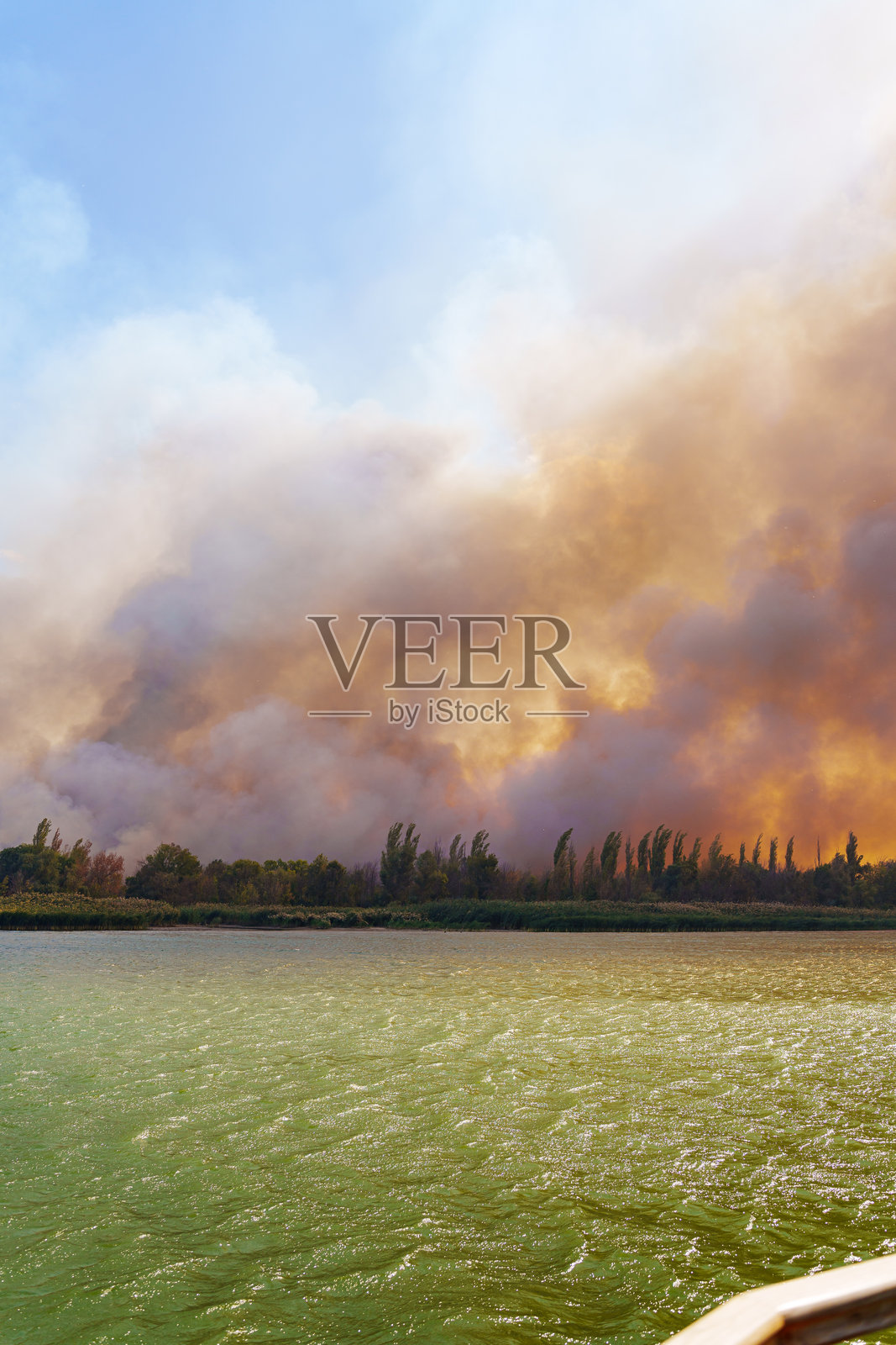 河岸的火灾景观。粗心的火源处理。照片摄影图片