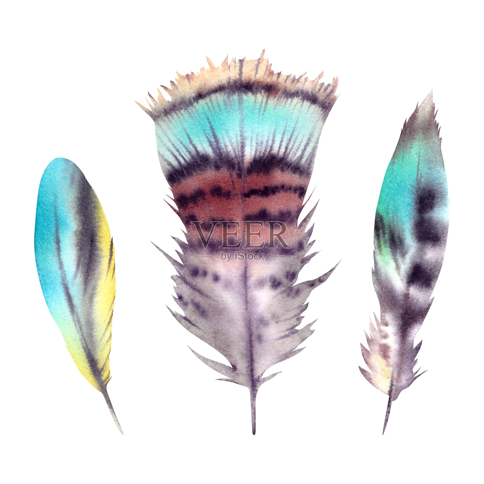 一组棕色和蓝色的羽毛，背景为白色孤立。手绘水彩插图。波西米亚风格的野生森林鸟类羽毛，包括雉鸡、布谷鸟、鹧鸪和火鸡。插画图片素材