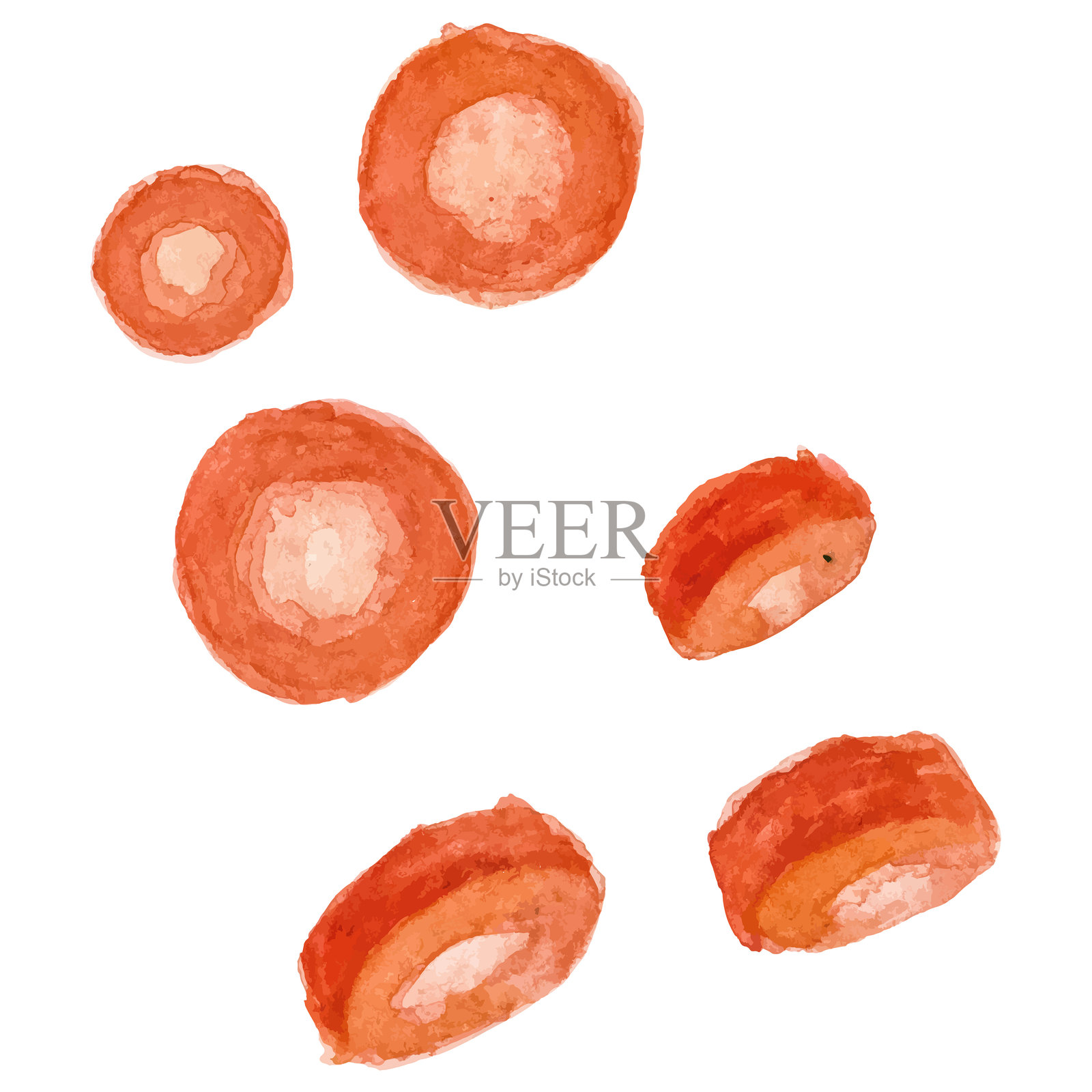 水彩画的胡萝卜。手绘的新鲜食品设计元素，独立于白色背景。插画图片素材