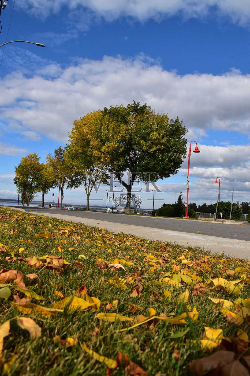 码头街道照片摄影图片