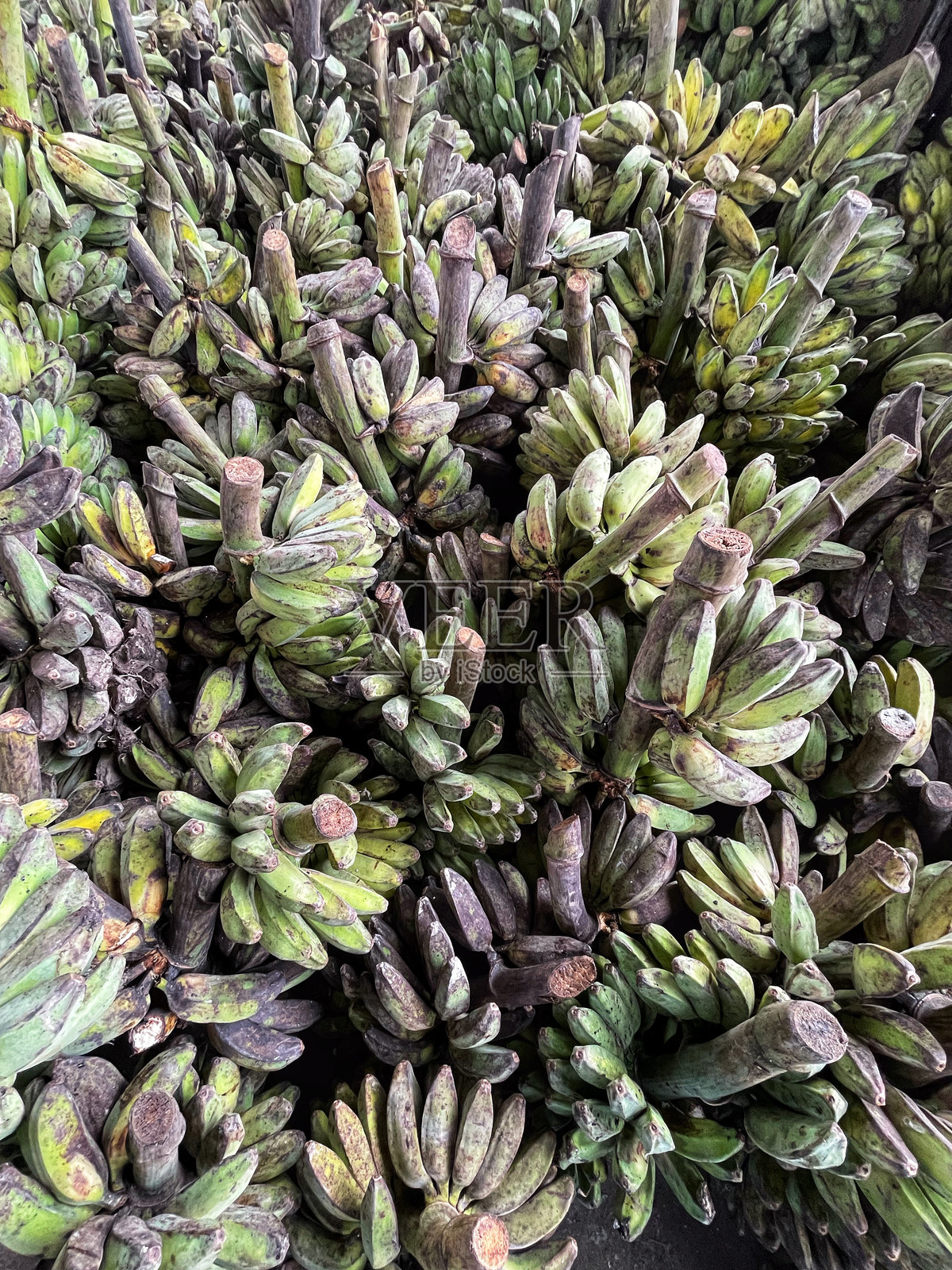 绿色未成熟的香蕉在批发市场出售。照片摄影图片