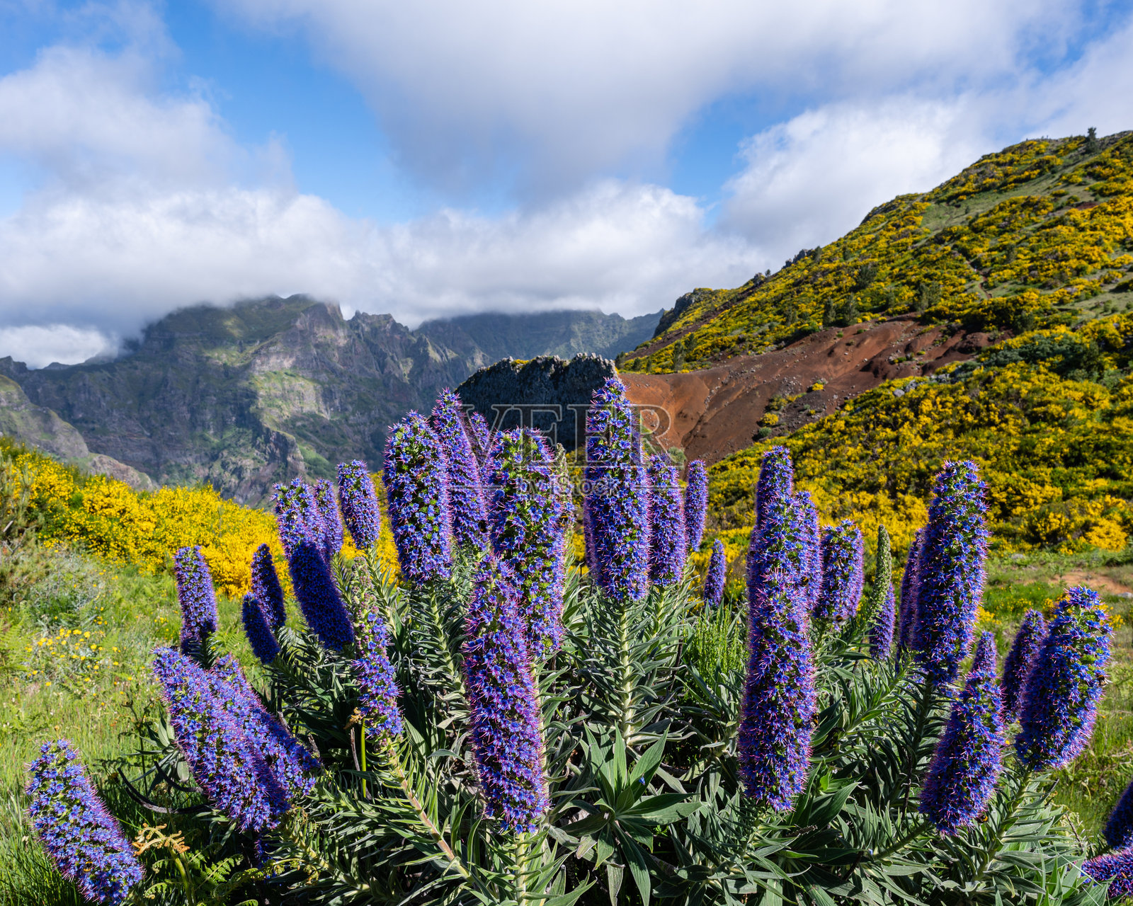 “马萨罗科”的山景照片摄影图片
