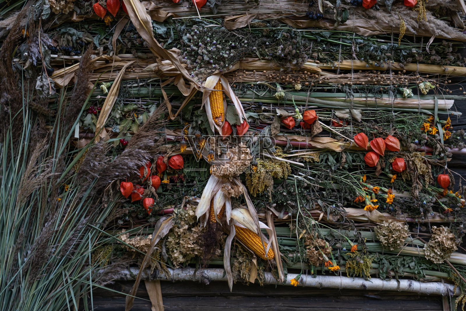 秋天的自然馈赠背景。丰收背景，感恩节。照片摄影图片