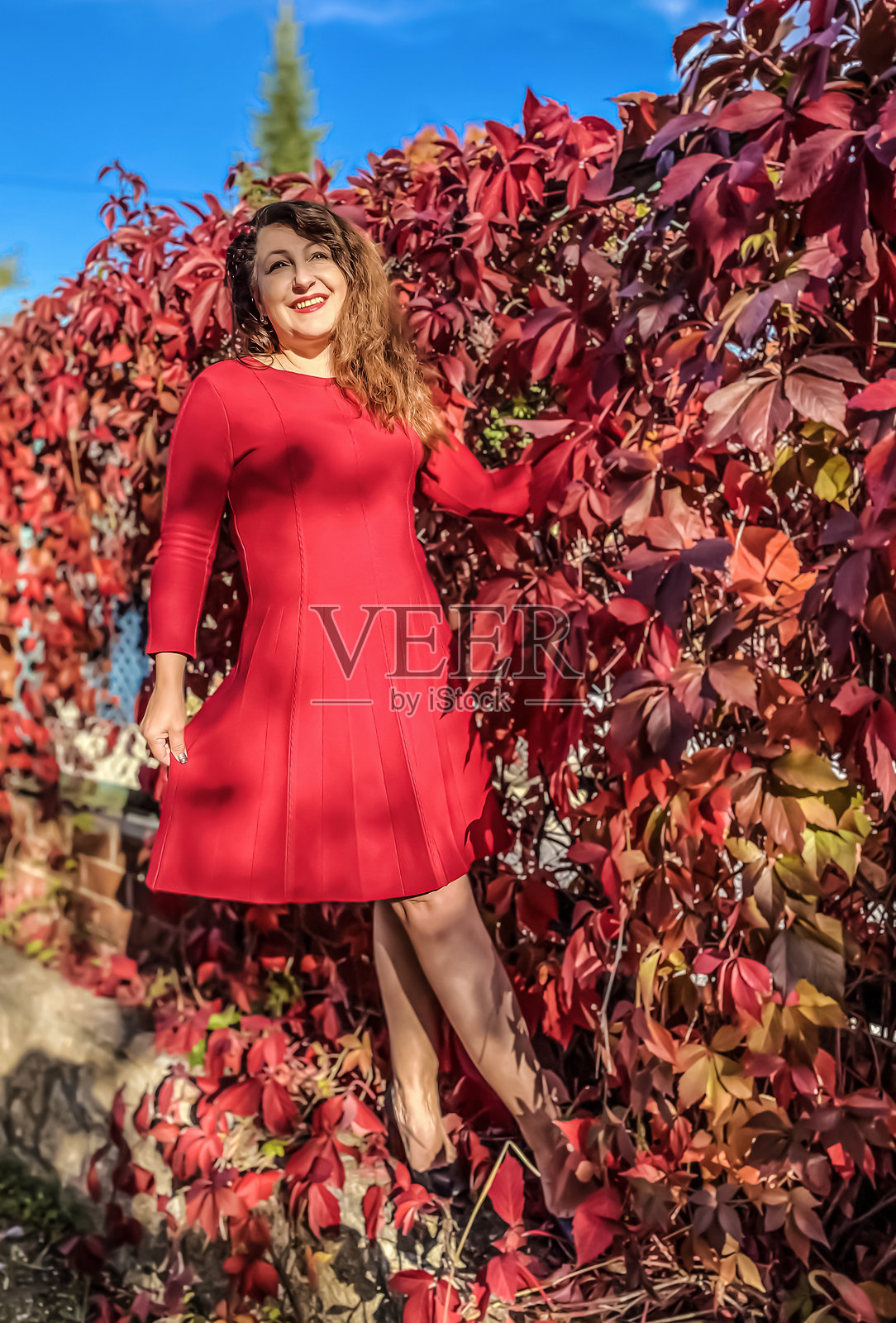 一位穿着红色连衣裙的美丽女性站在鲜红的秋叶背景前。她是一位长发飘飘、面带微笑的快乐女士。展现了一位50岁以上女性的自然美。秋天的色彩。竖版照片。照片摄影图片