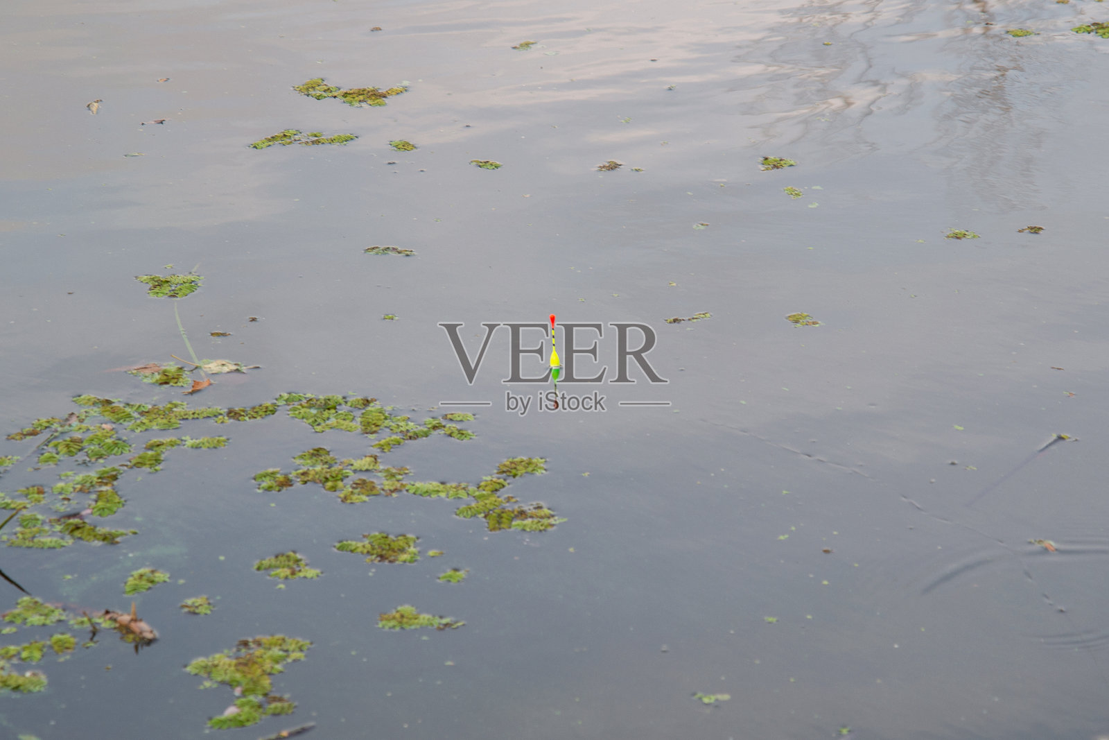 钓鱼照片摄影图片