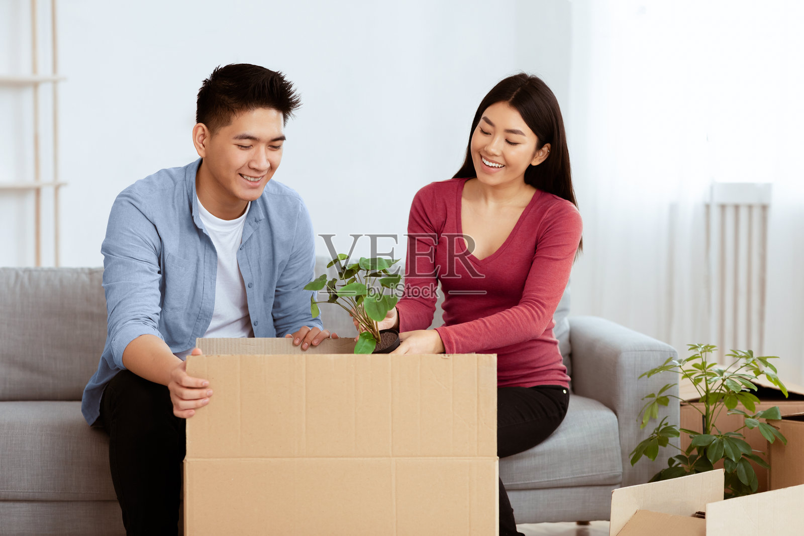 亚洲男女正在将植物装入纸箱中照片摄影图片