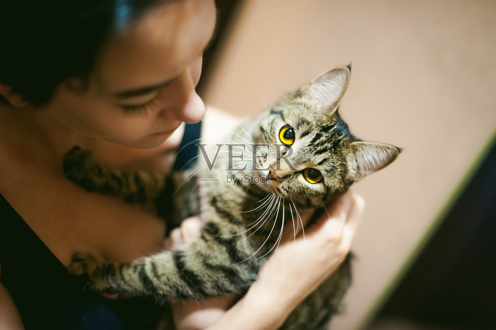 特写镜头：女人抱着猫照片摄影图片