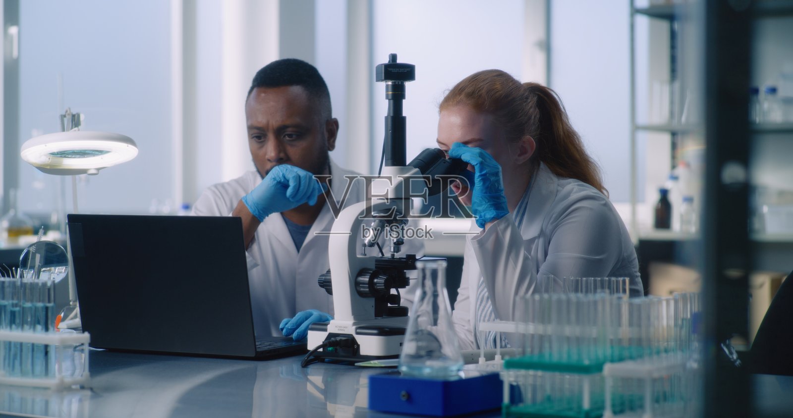 多元化的两位科学家团队正在研发新药物照片摄影图片