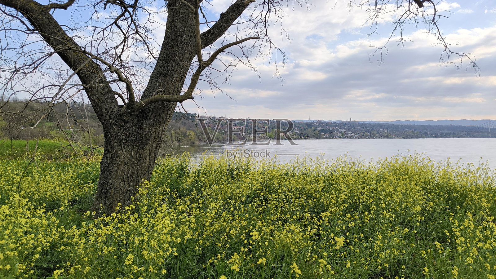 佩特罗瓦拉丁堡垒及其周围环境在明亮的春日中照片摄影图片