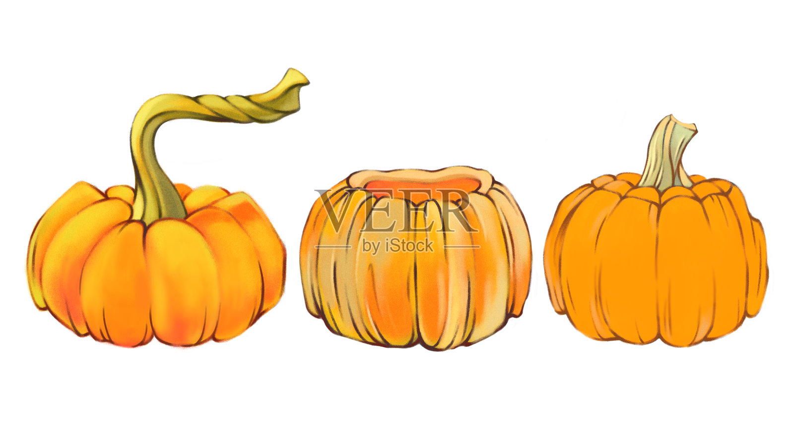 南瓜、冬南瓜和秋季蔬菜剪贴画元素，万圣节南瓜照片摄影图片