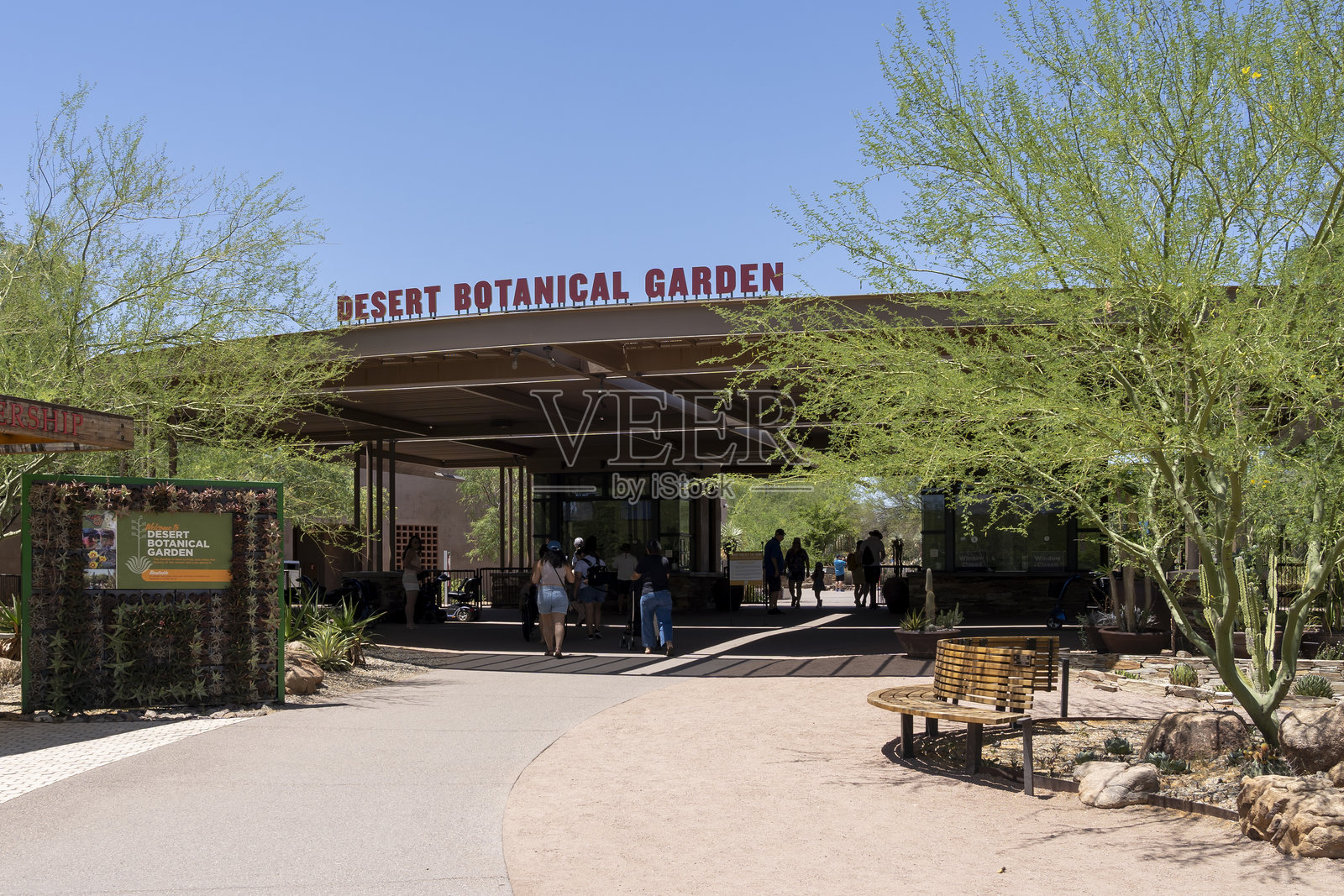 沙漠植物园是位于凤凰城帕帕戈公园内的一个140英亩的植物园。照片摄影图片