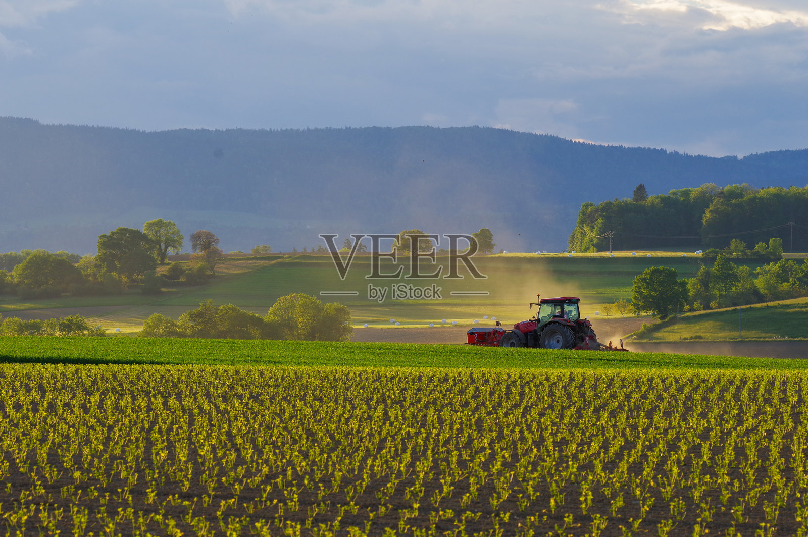在田野上驾驶拖拉机，乡村风景照片摄影图片