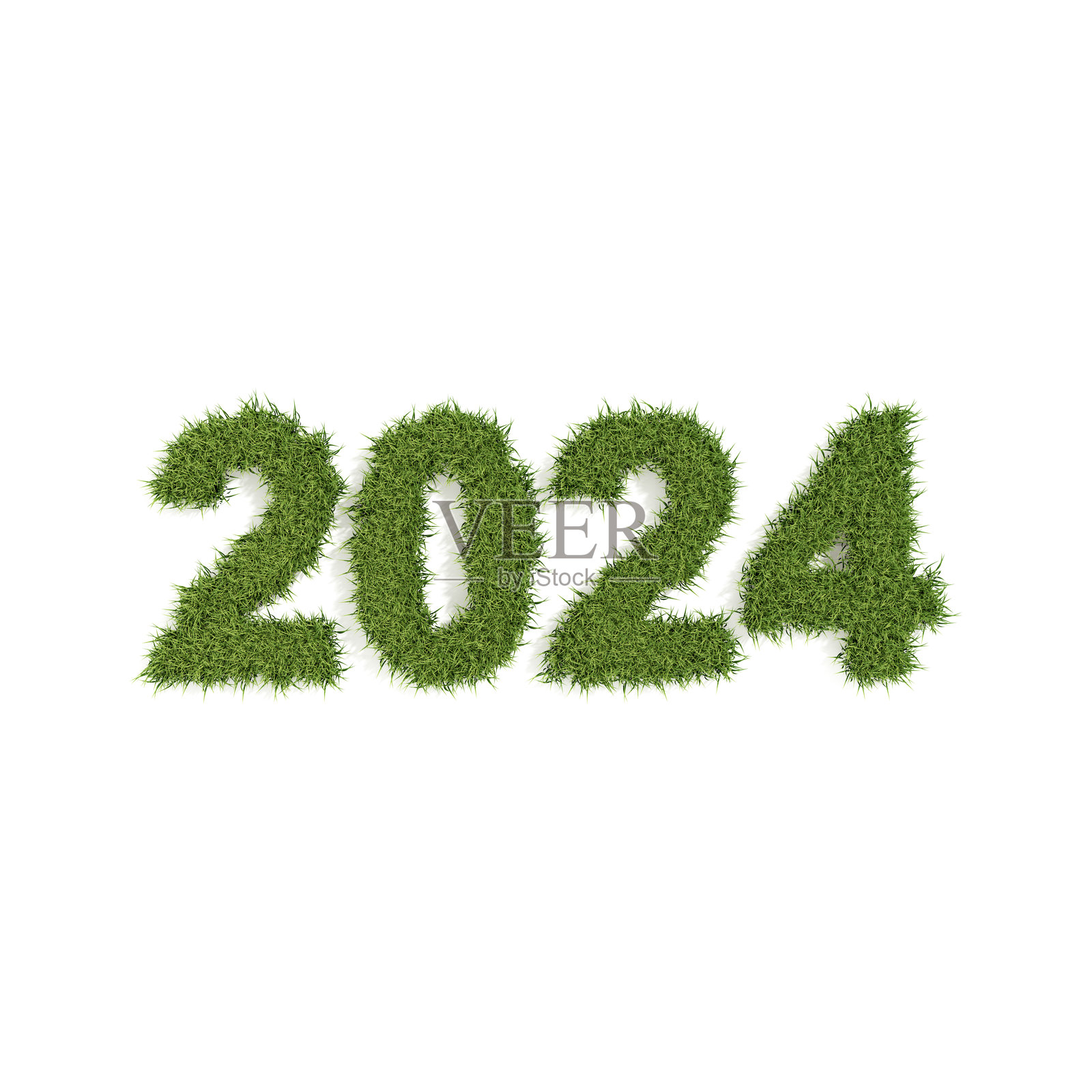 2024年与白色背景上的草照片摄影图片