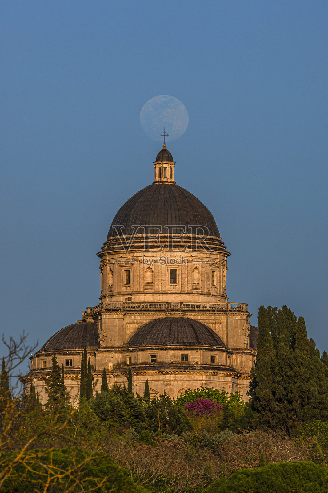 托迪的慰藉照片摄影图片