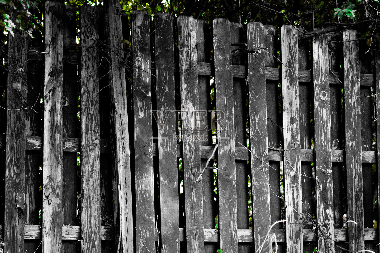 古老乡村风化的磨损围栏与绿色植物相伴照片摄影图片