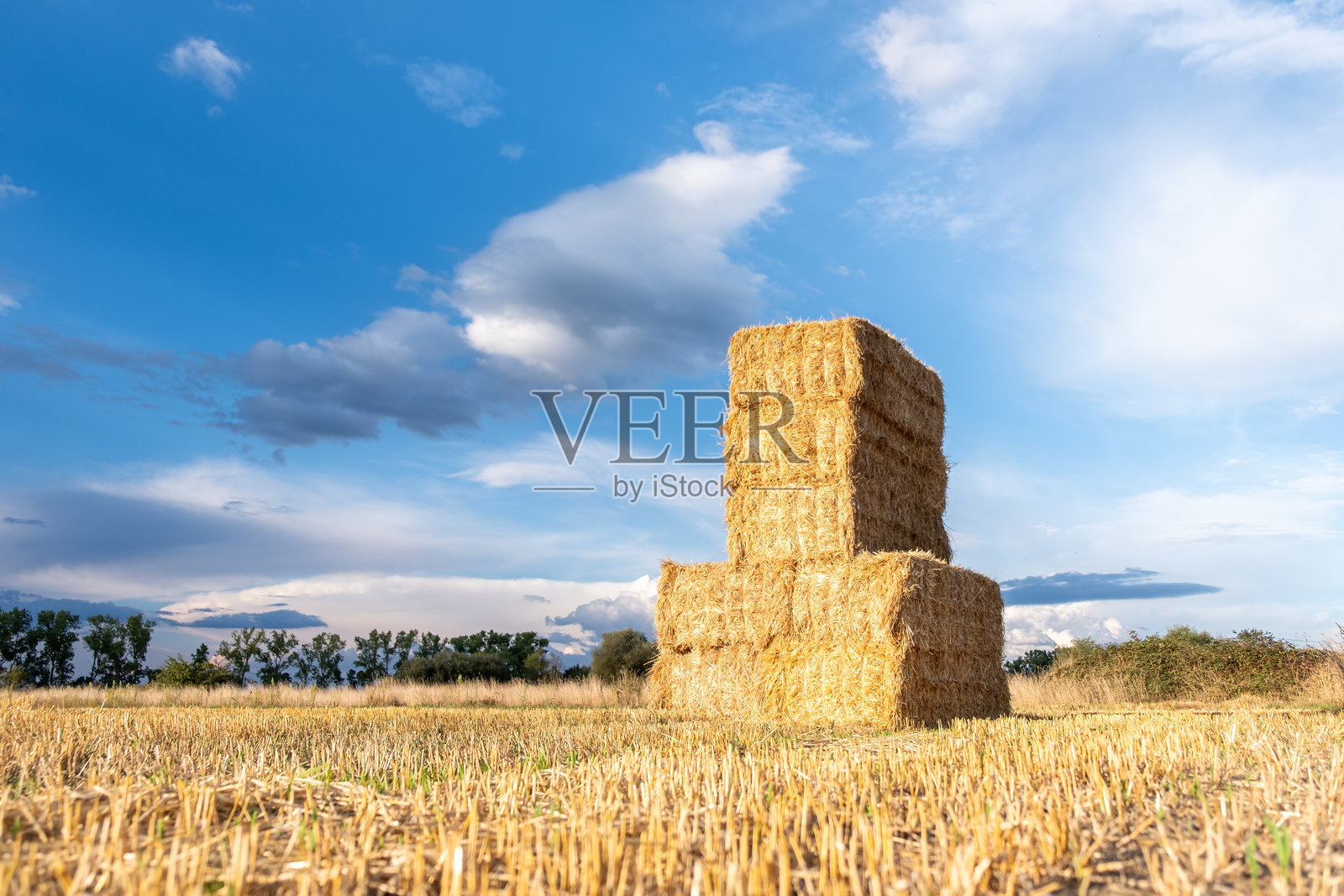 农业田野中收获后稻草 hay 包的侧面视图照片摄影图片