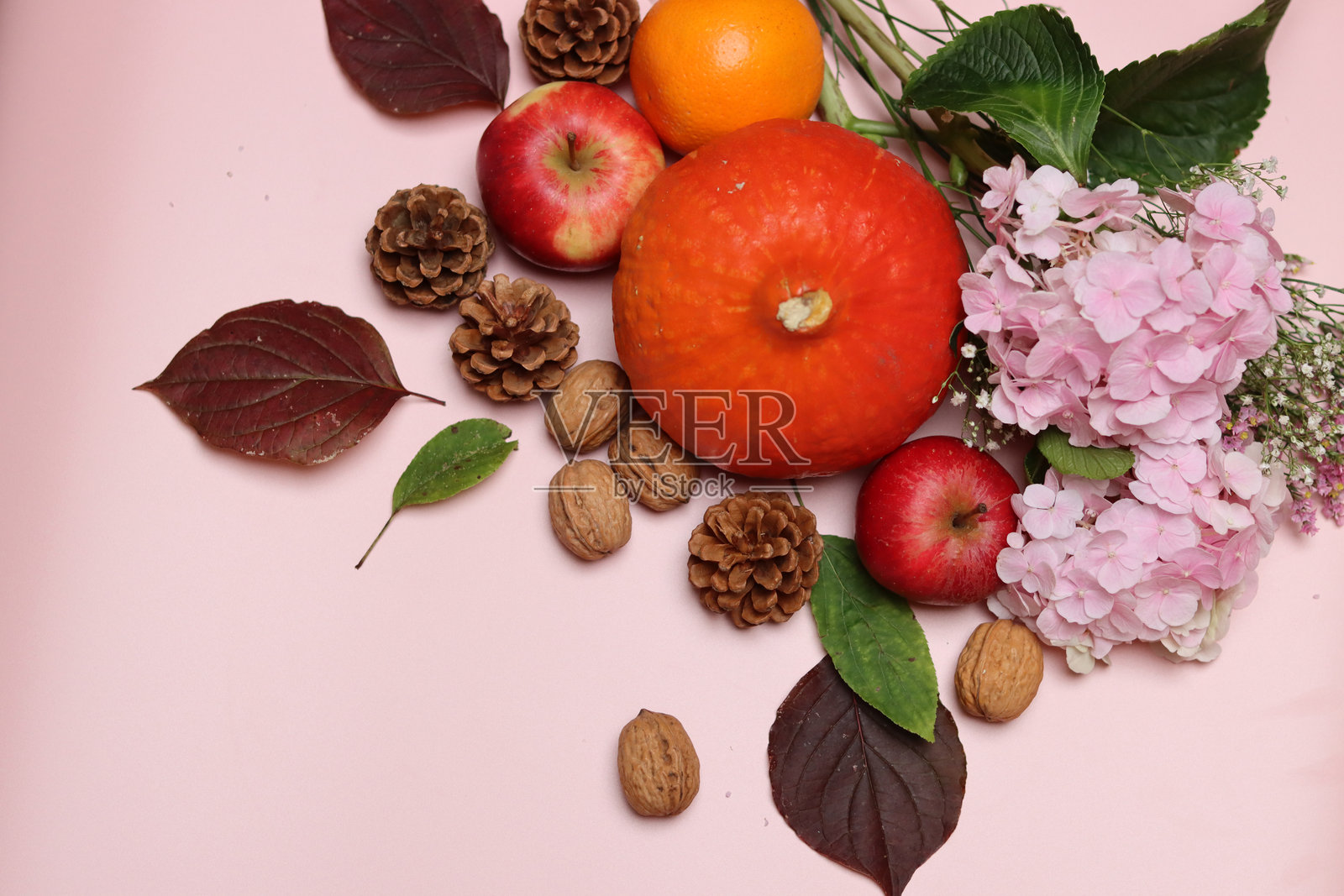 秋季蔬菜和水果照片摄影图片