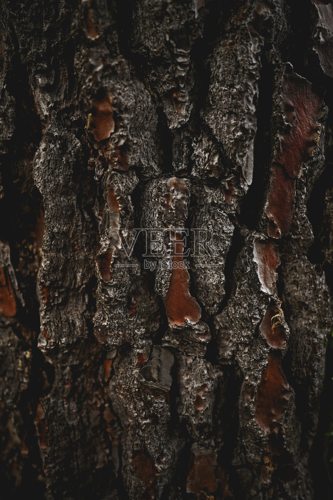 木质镶板背景照片摄影图片