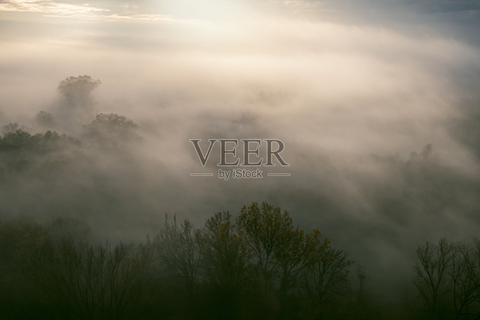 秋季雾气弥漫的森林鸟瞰图照片摄影图片