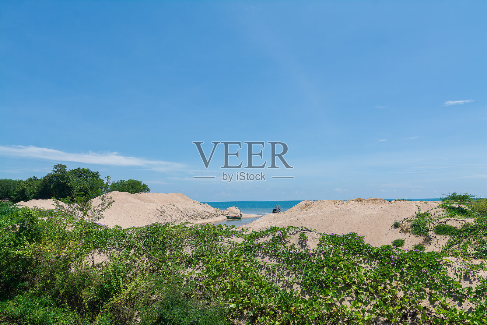 河流入海：沿海沙地与植被照片摄影图片