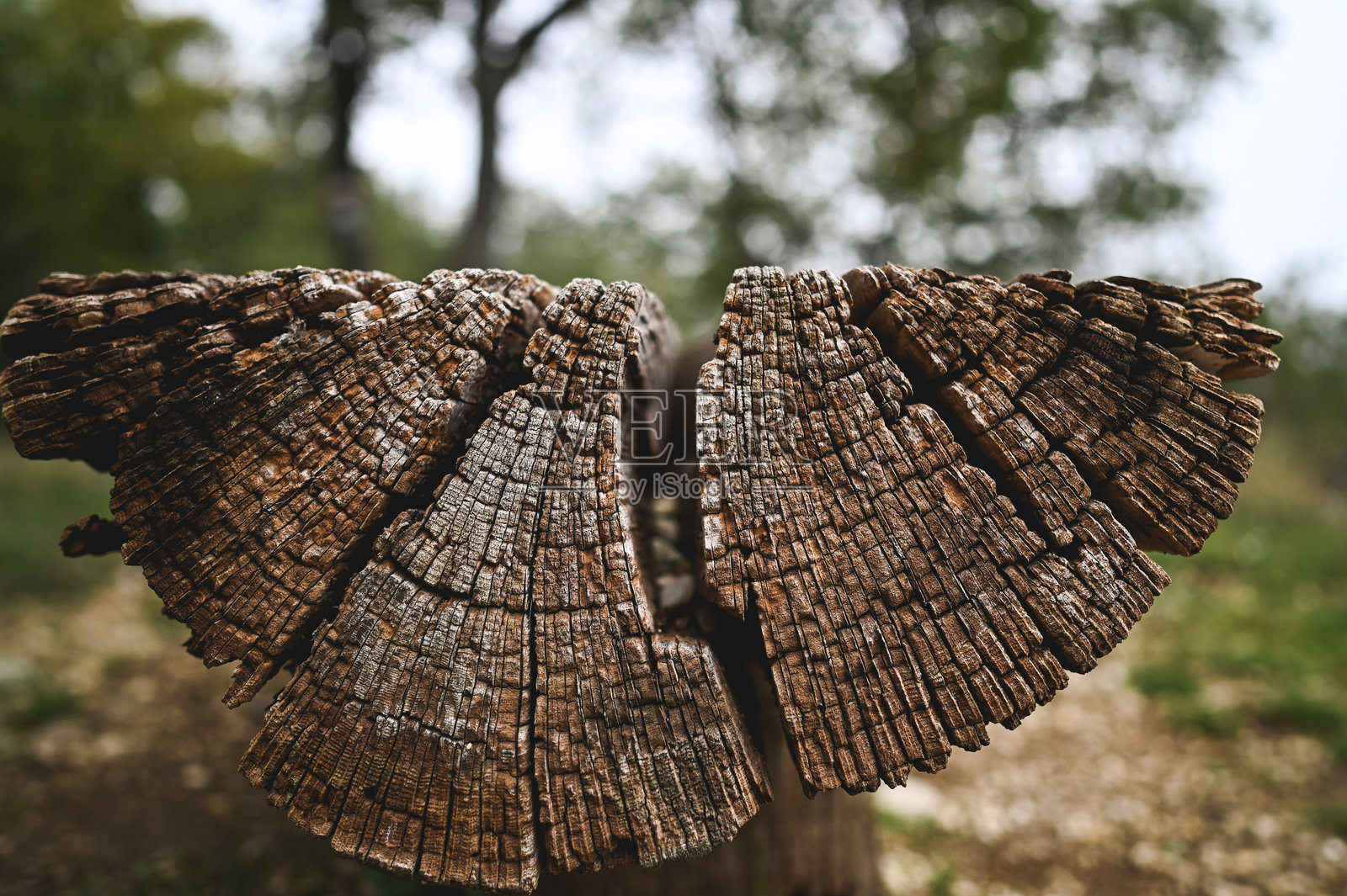 棕色木质背景照片摄影图片