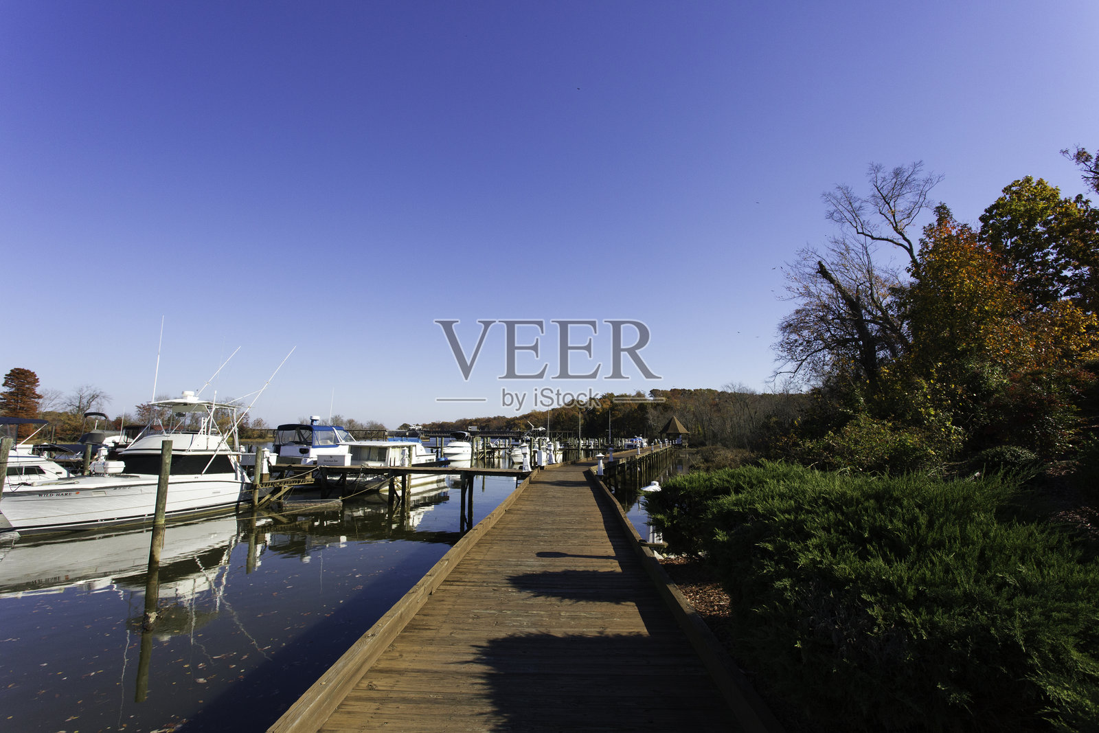 风景如画的码头景观，船只与晴朗的秋空。照片摄影图片