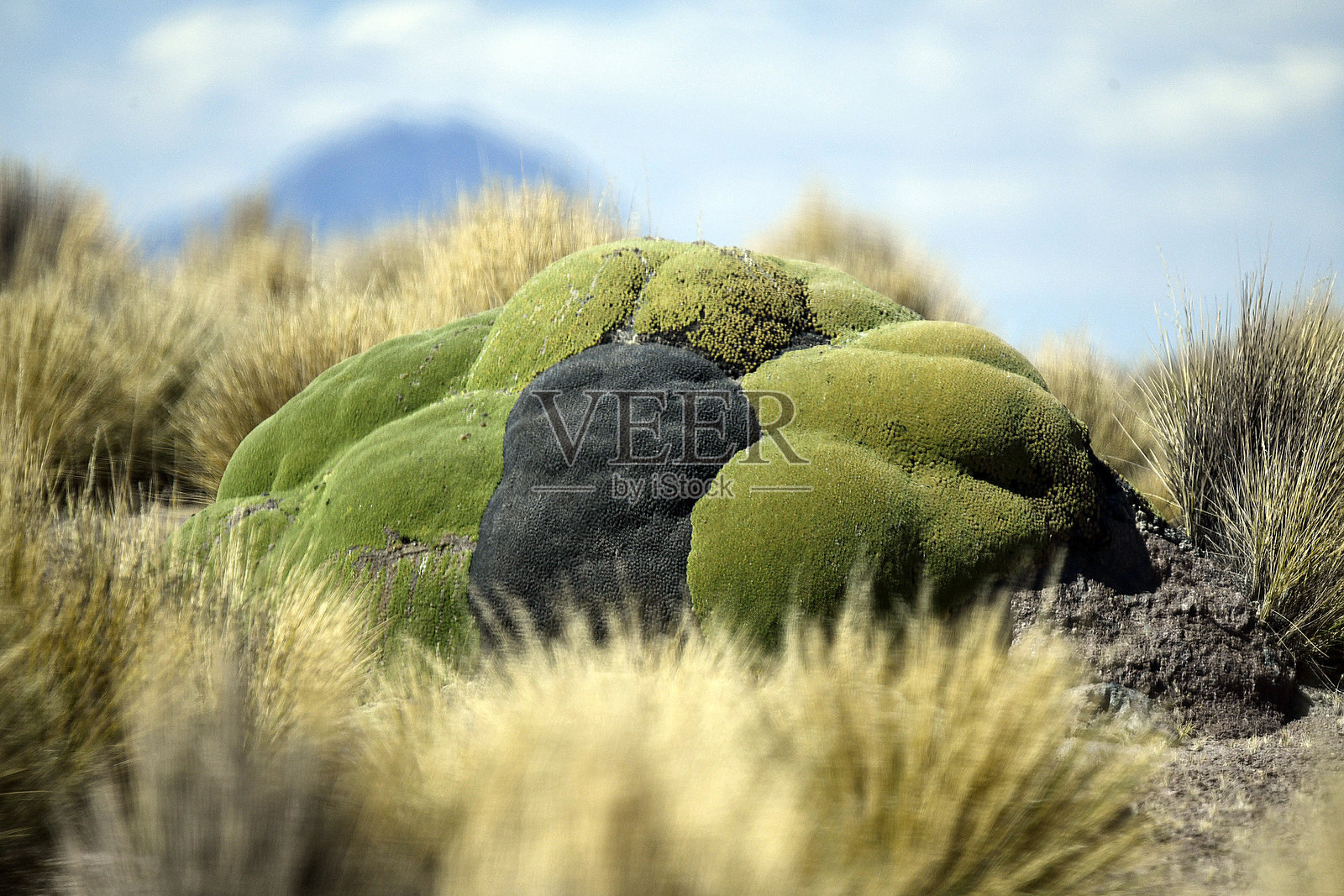 阿塔卡马地区的沙漠景观照片摄影图片