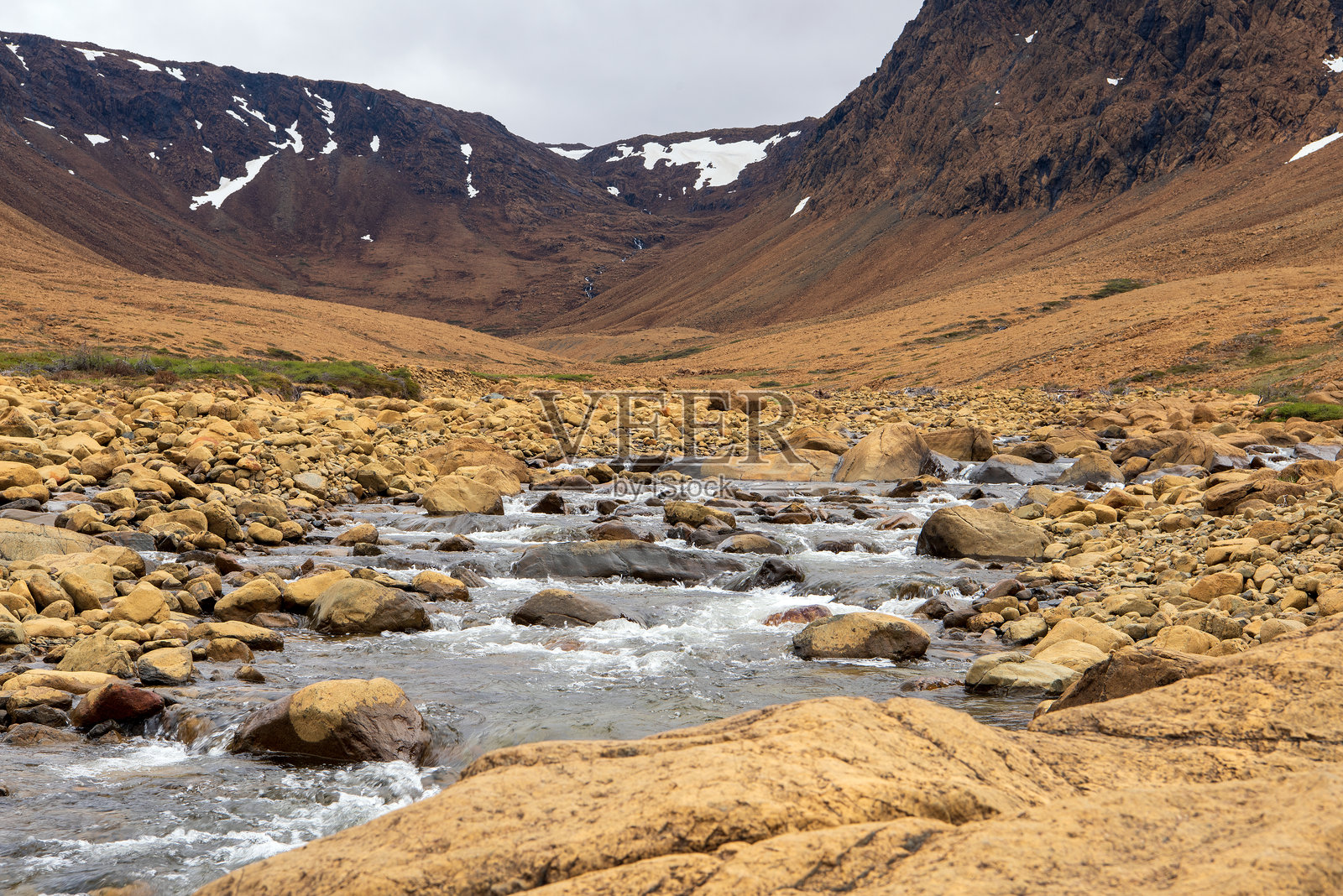 纽芬兰高原照片摄影图片