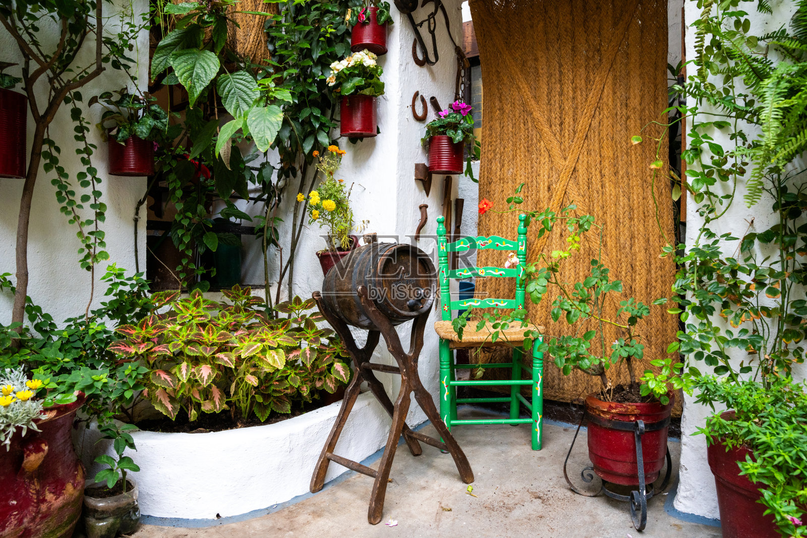 露台节照片摄影图片