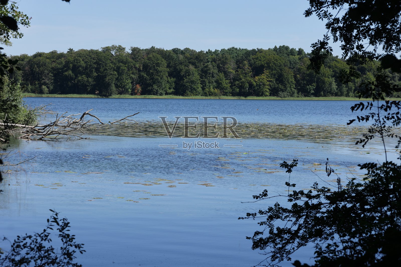 梅克伦堡的齐斯洛附近的佩茨湖景观照片摄影图片