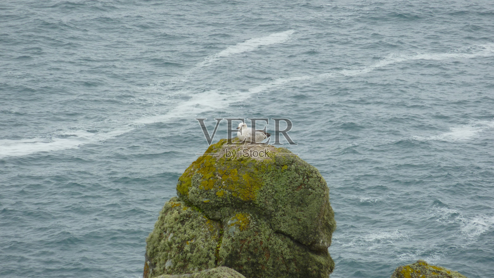 在海边休息照片摄影图片
