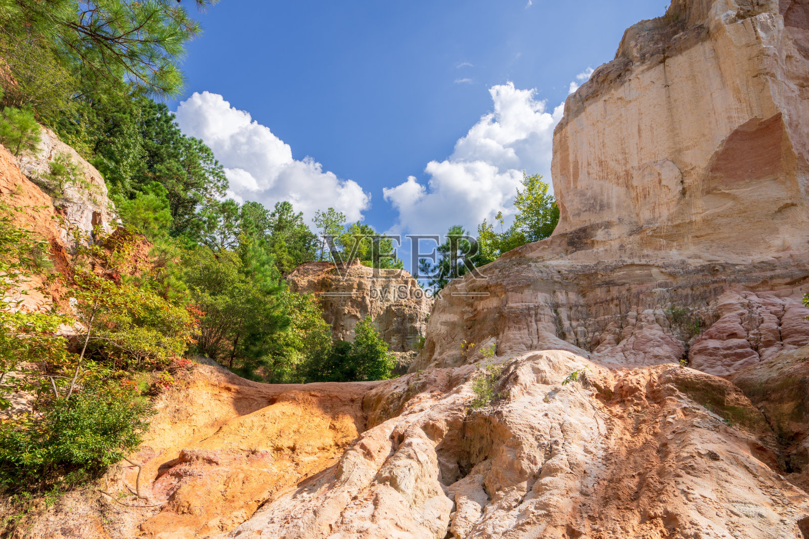 州立公园中的峡谷照片摄影图片