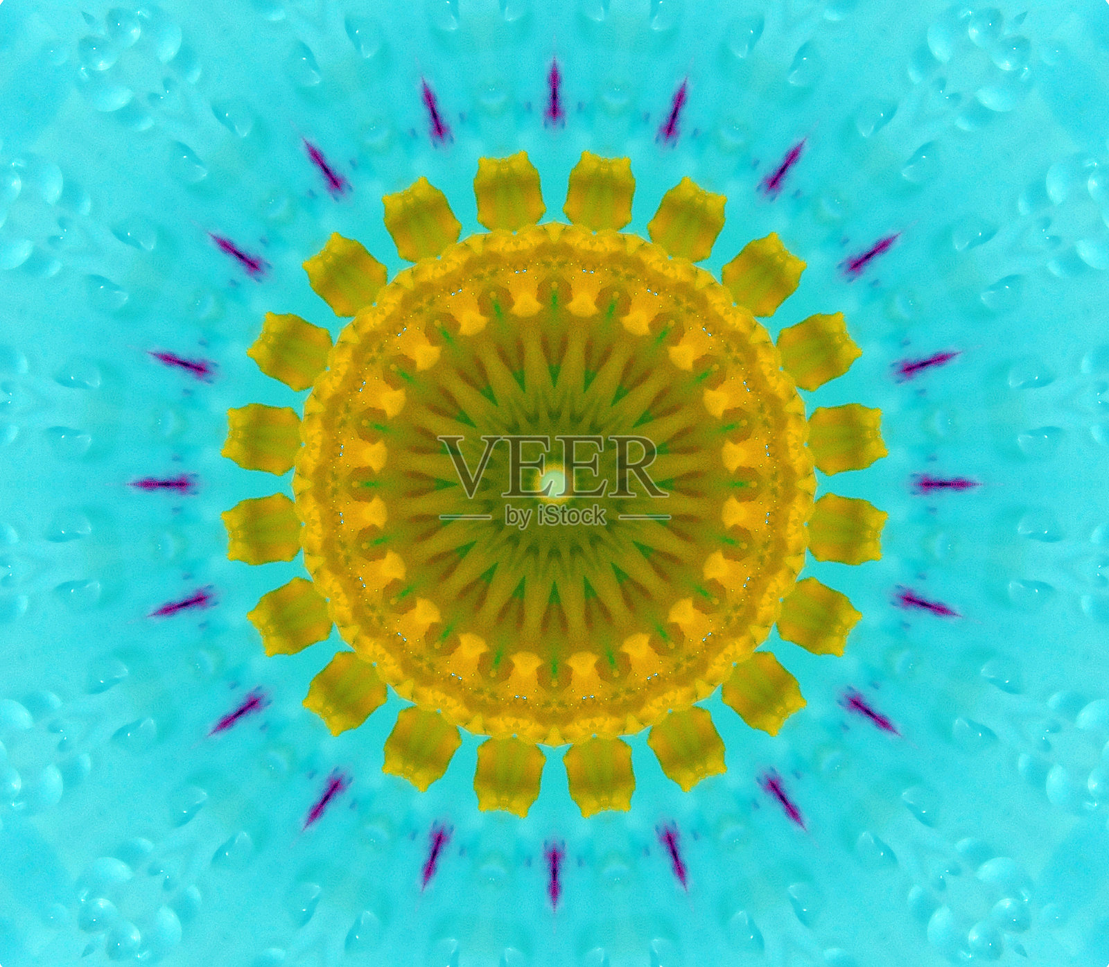 精致花朵图案特写照片摄影图片